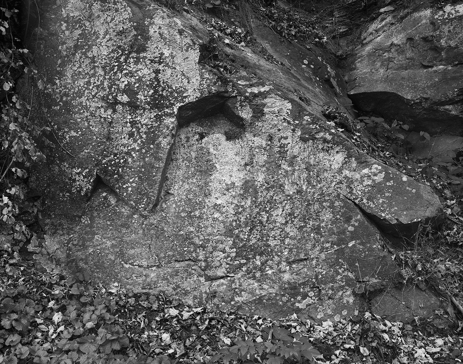 Rock Outcrop, Wilton, Connecticut, 2024 Selenium Toned Silver Gelatin Print 16x20" Edition of Three