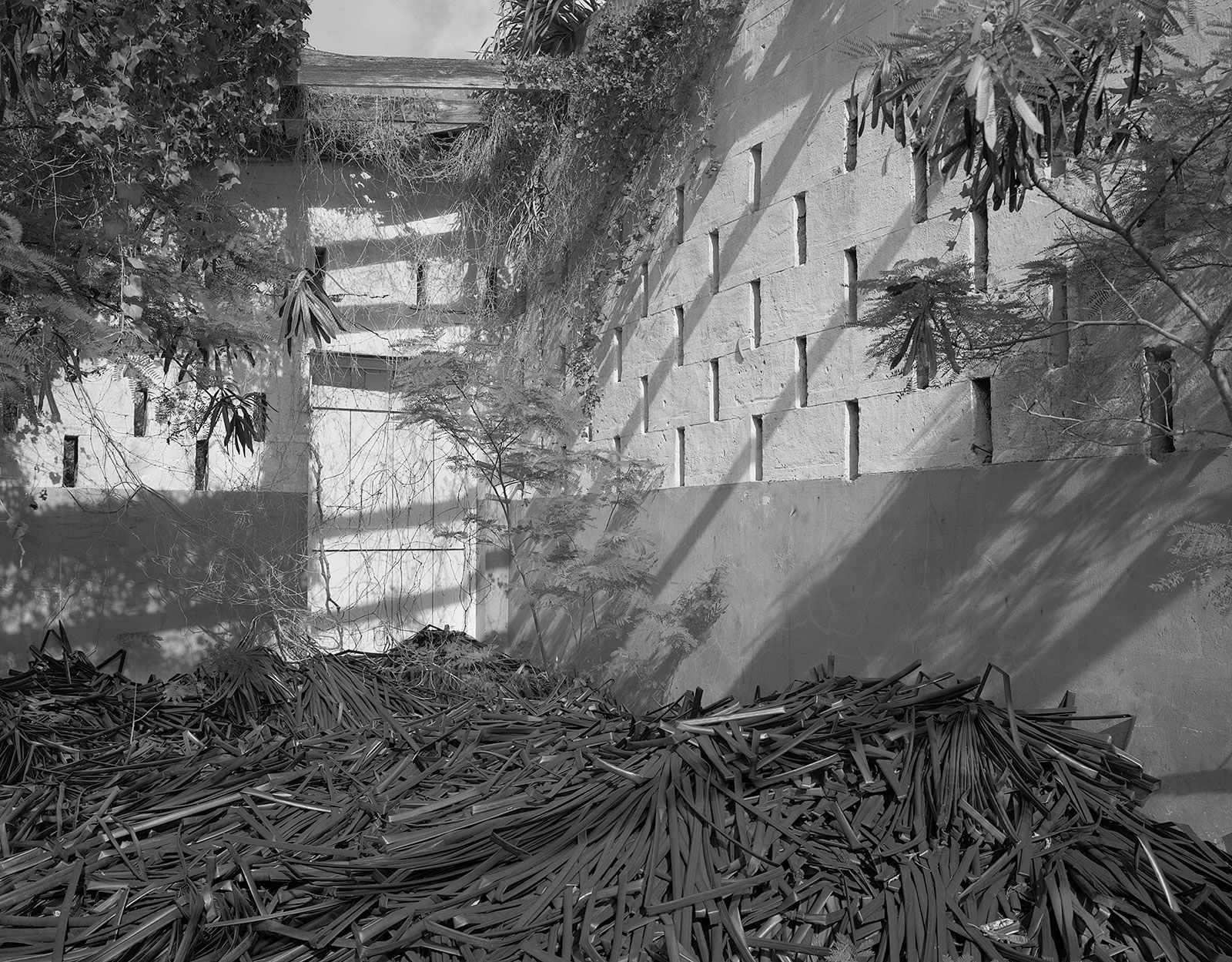 Irrigation Pipe Storage, Brighton Farm, St. George, Barbados, 2016 Selenium Toned Silver Gelatin Print, 20x24" Archival Pigment Print on Moab Entrada Rag, 17x21" Edition of Three
