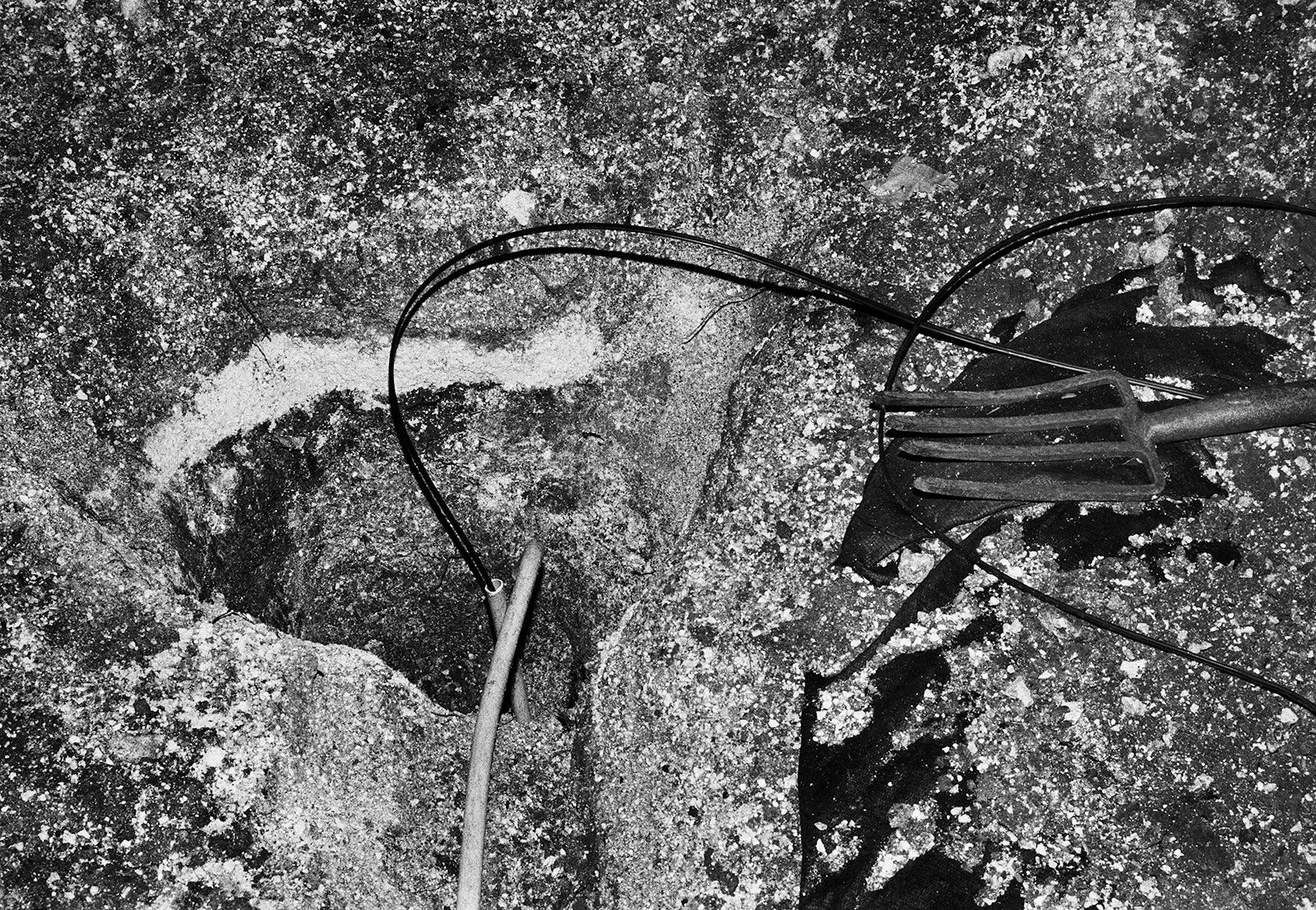 Ditch, Brighton Farm, St. George, Barbados, 2016 Selenium Toned Silver Gelatin Print, 16x20" Archival Pigment Print on Moab Entrada Rag, 17x21" Edition of Three