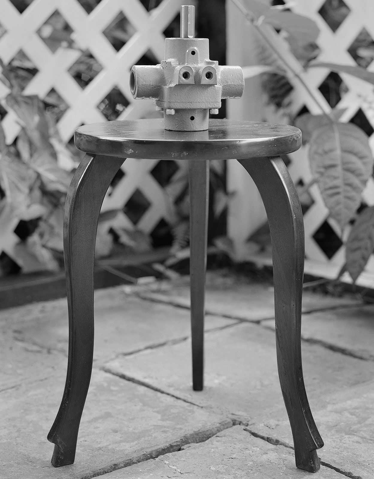 Spontaneous Sculpture, Water Pump, Brighton Farm, St. George, Barbados, 2007 Selenium Toned Silver Gelatin Print, 24x20" Archival Pigment Print on Moab Entrada Rag, 21x17" Edition of Three