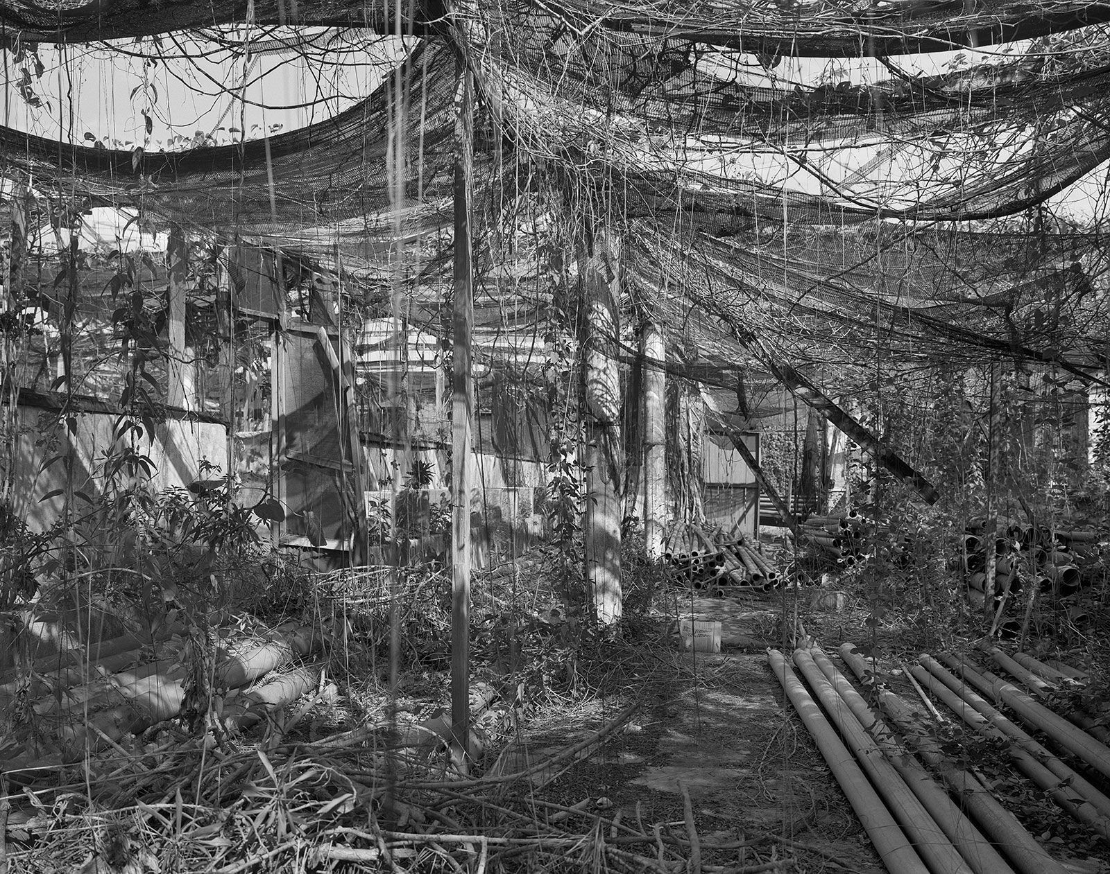Irrigation Pipe Storage, Brighton Farm, St. George, Barbados, 2016 Selenium Toned Silver Gelatin Print, 20x24" Archival Pigment Print on Moab Entrada Rag, 17x21" Edition of Three