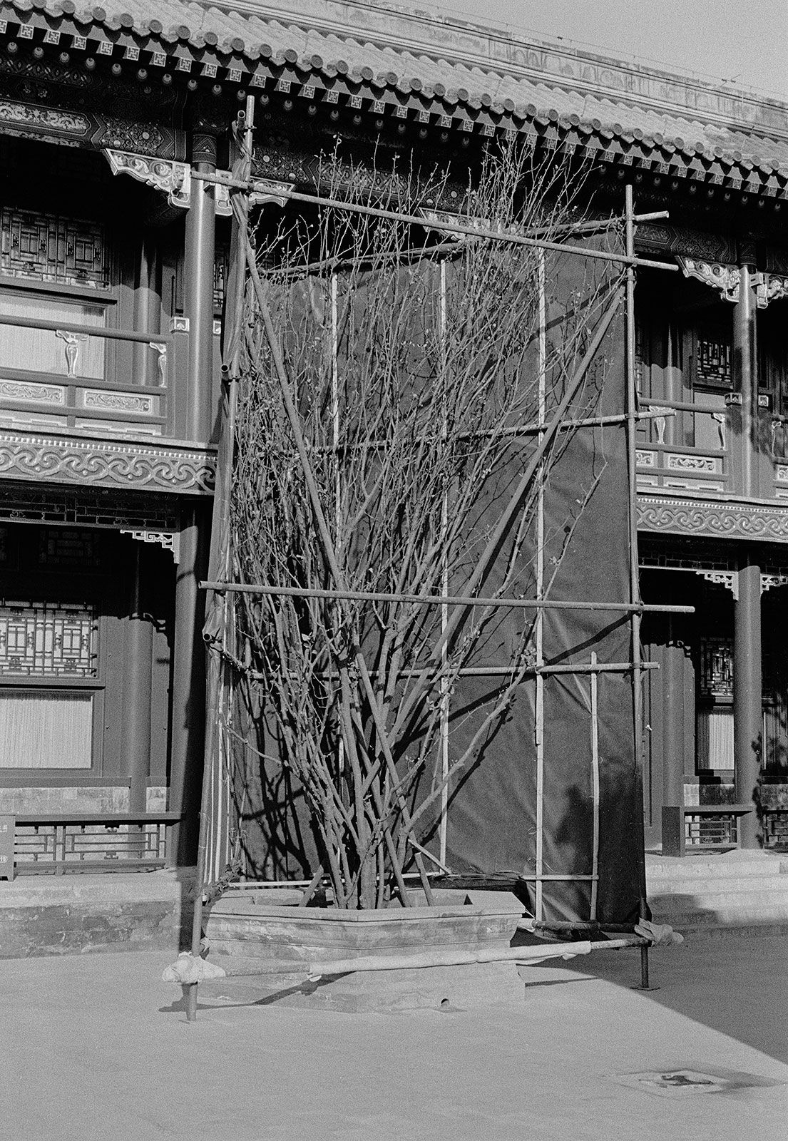 Untitled, Beijing, China, 2009 Archival Pigment Print on Hahnemuhle Photo Rag, 21x17" Edition of Three