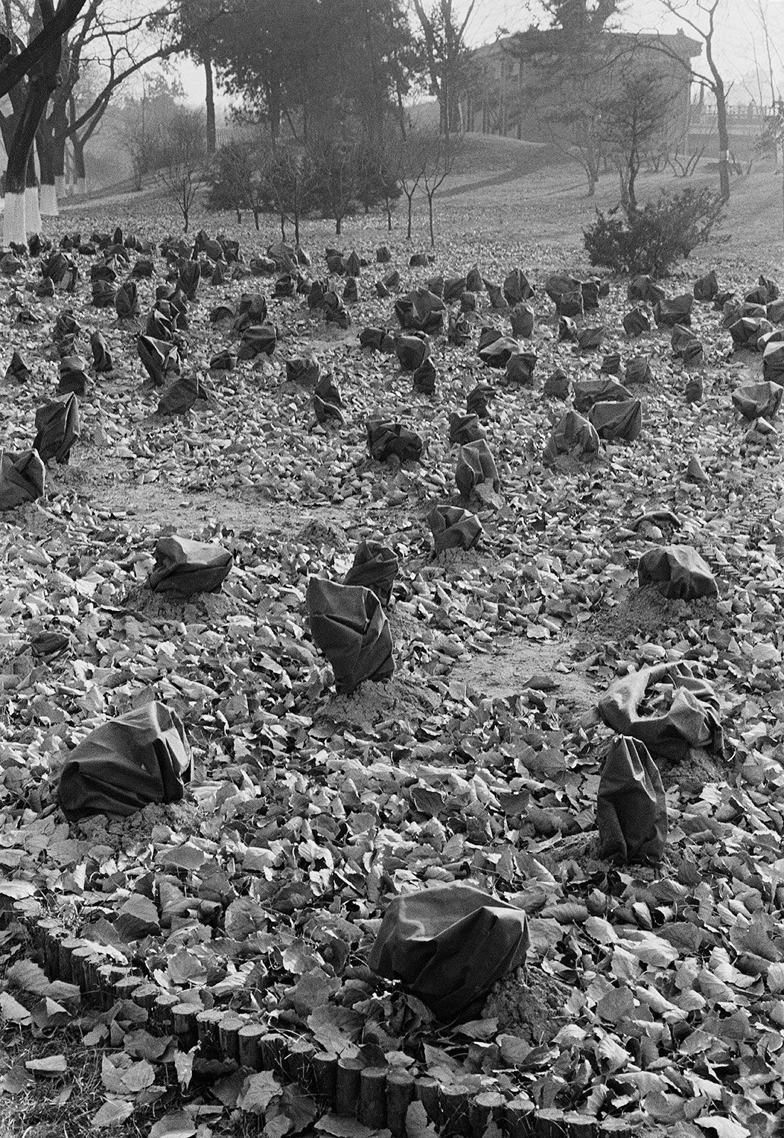 Untitled, Beijing, China, 2009 Archival Pigment Print on Hahnemuhle Photo Rag, 21x17" Edition of Three