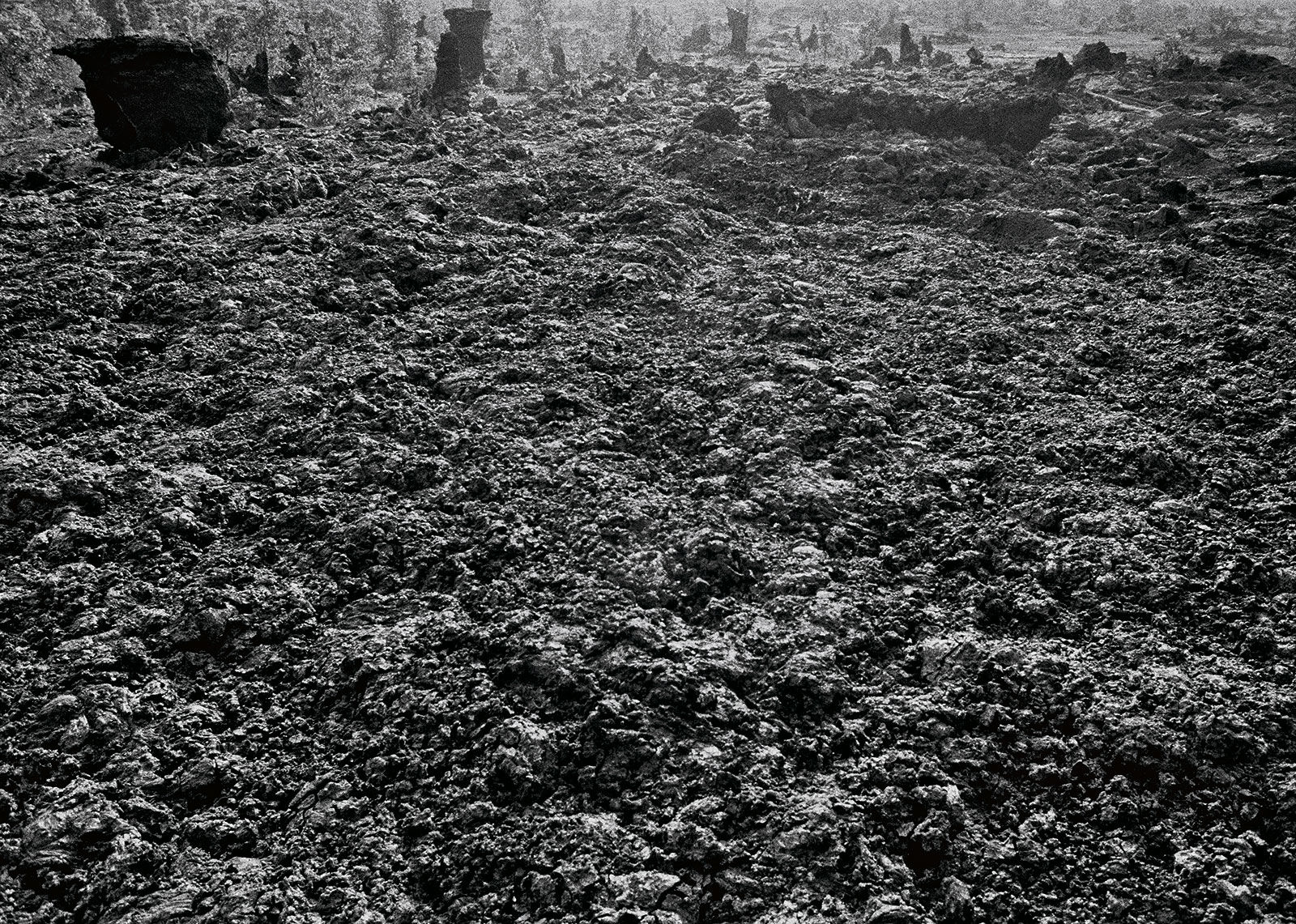 1974 Lava Flow and Lava Trees, East Rift Zone, Hawai'i, 2007 Archival Pigment Print on Hahnemuhle Photo Rag, 17x21" Edition of Three