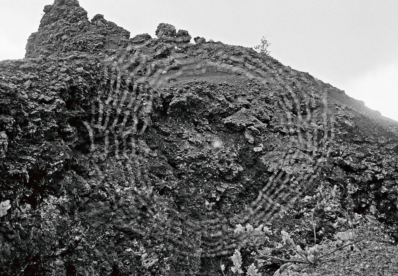 Spider Web, East Rift-Zone, Hawai'i, 2005 Archival Pigment Print on Hahnemuhle Photo Rag, 17x21" Edition of Three