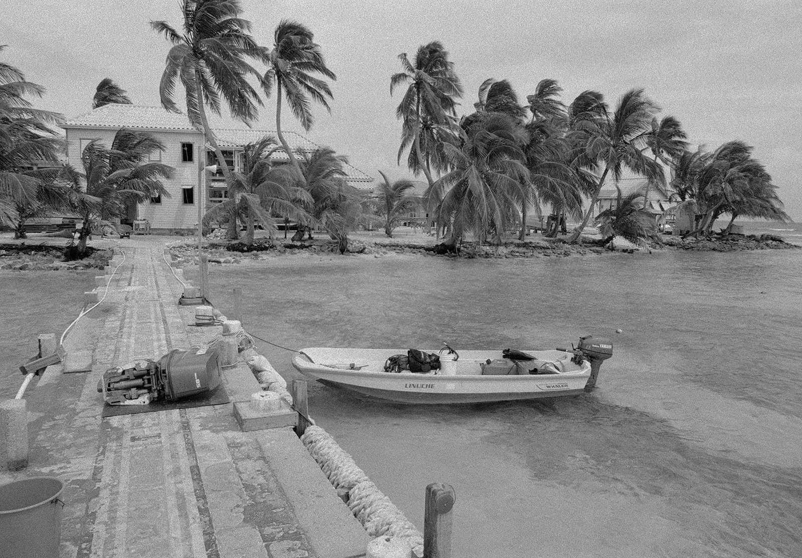 Smithsonian Station, Carrie Bow Cay, Belize, 2002 Archival Pigment Print on Hahnemuhle Photo Rag, 17x21" Edition of Three