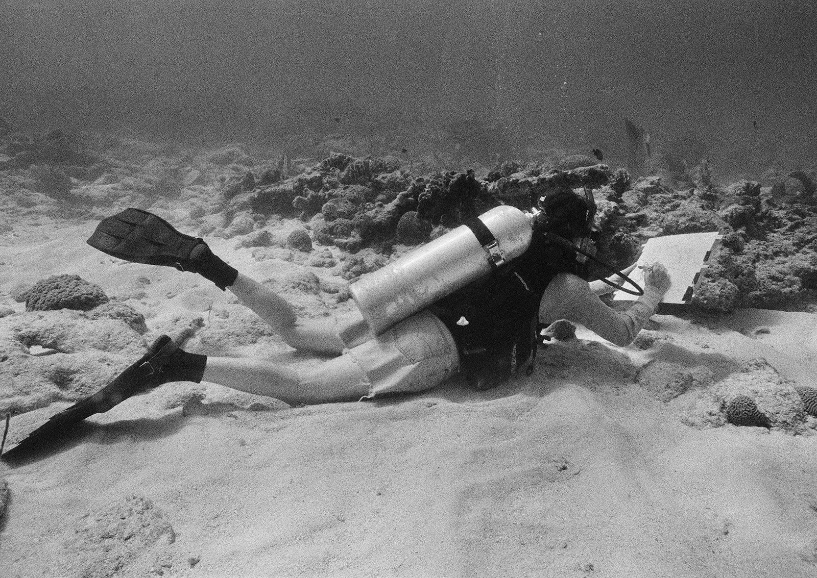 Scientific Illustrator (Mary) Drawing Underwater, Carrie Bow Cay, Belize, 2002 Archival Pigment Print on Hahnemuhle Photo Rag, 17x21" Edition of Three