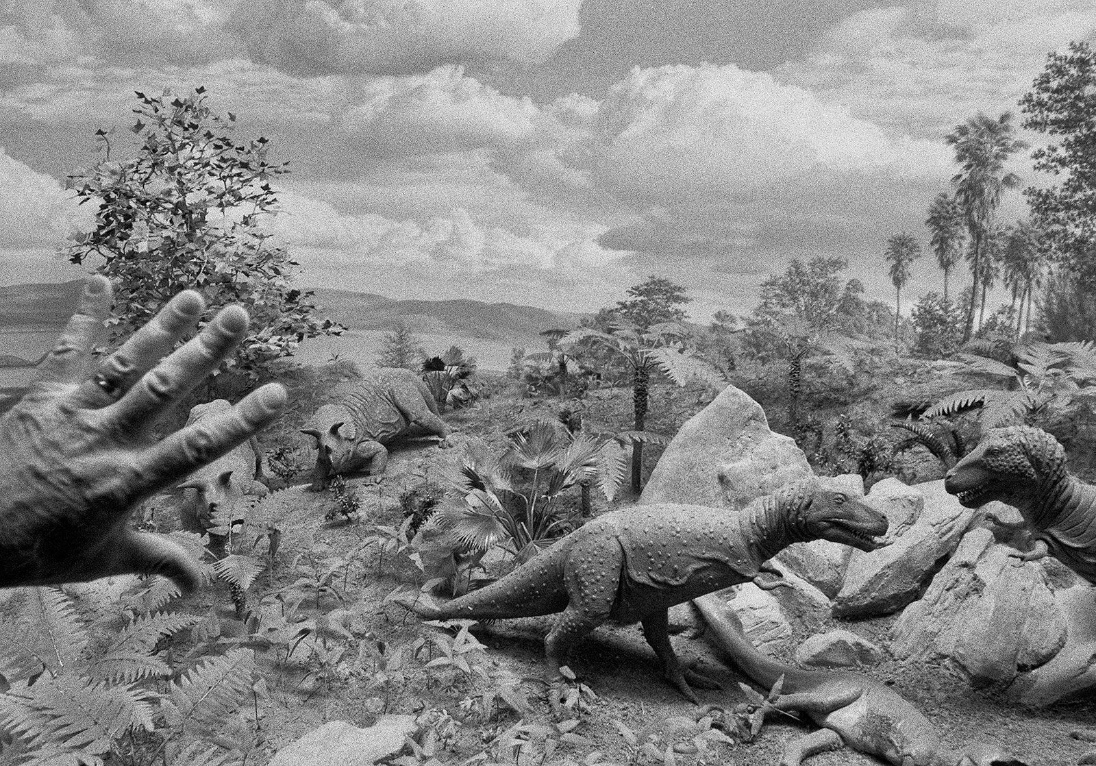 Dad's Hand, Smithsonian Museum of Natural History, Washington D.C., 2000 Archival Pigment Print on Hahnemuhle Photo Rag, 17x21" Edition of Three