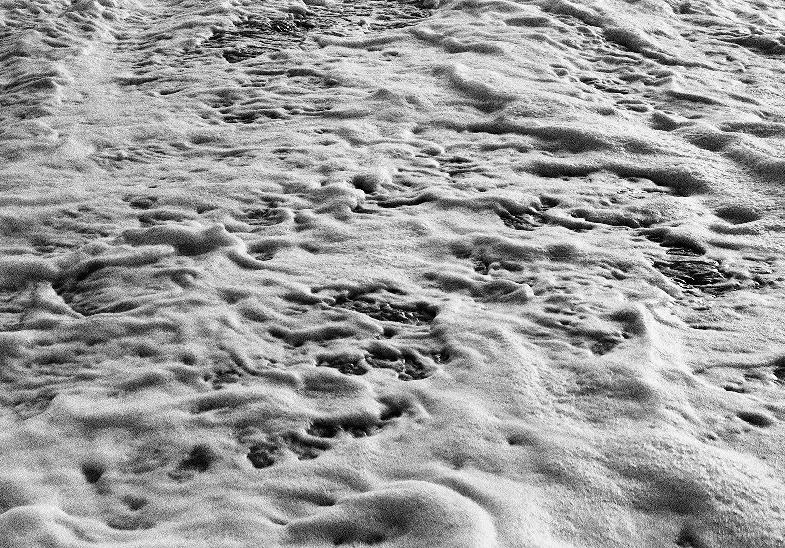 Untitled, La Jolla, California, 2024 Archival Pigment Print on Hahnemuhle Photo Rag , 17x21" Edition of Three