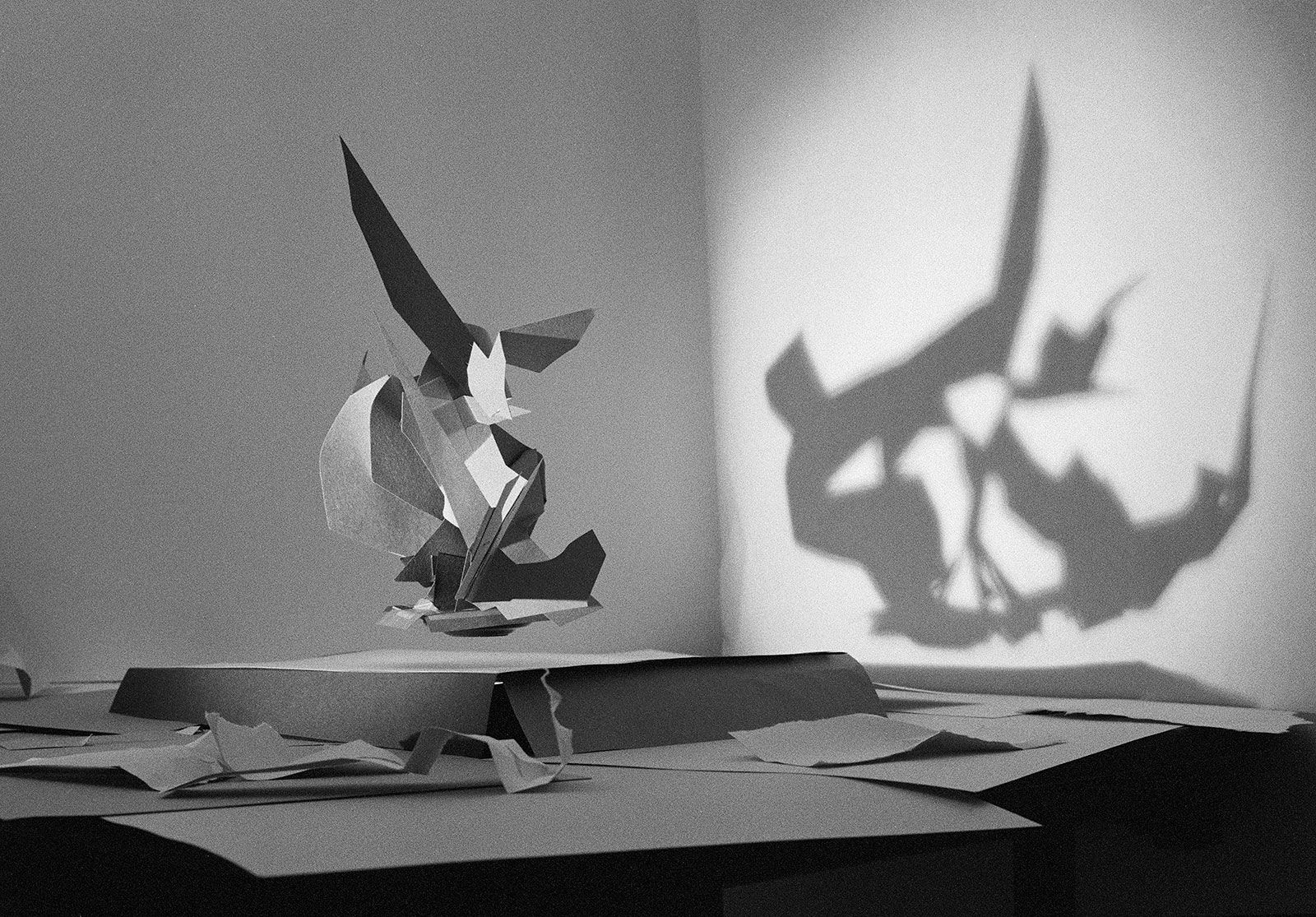 Levitating Paper Study, Wilton, Connecticut, 2012 Archival Pigment Print on Hahnemuhle Photo Rag, 17x21" Edition of Three