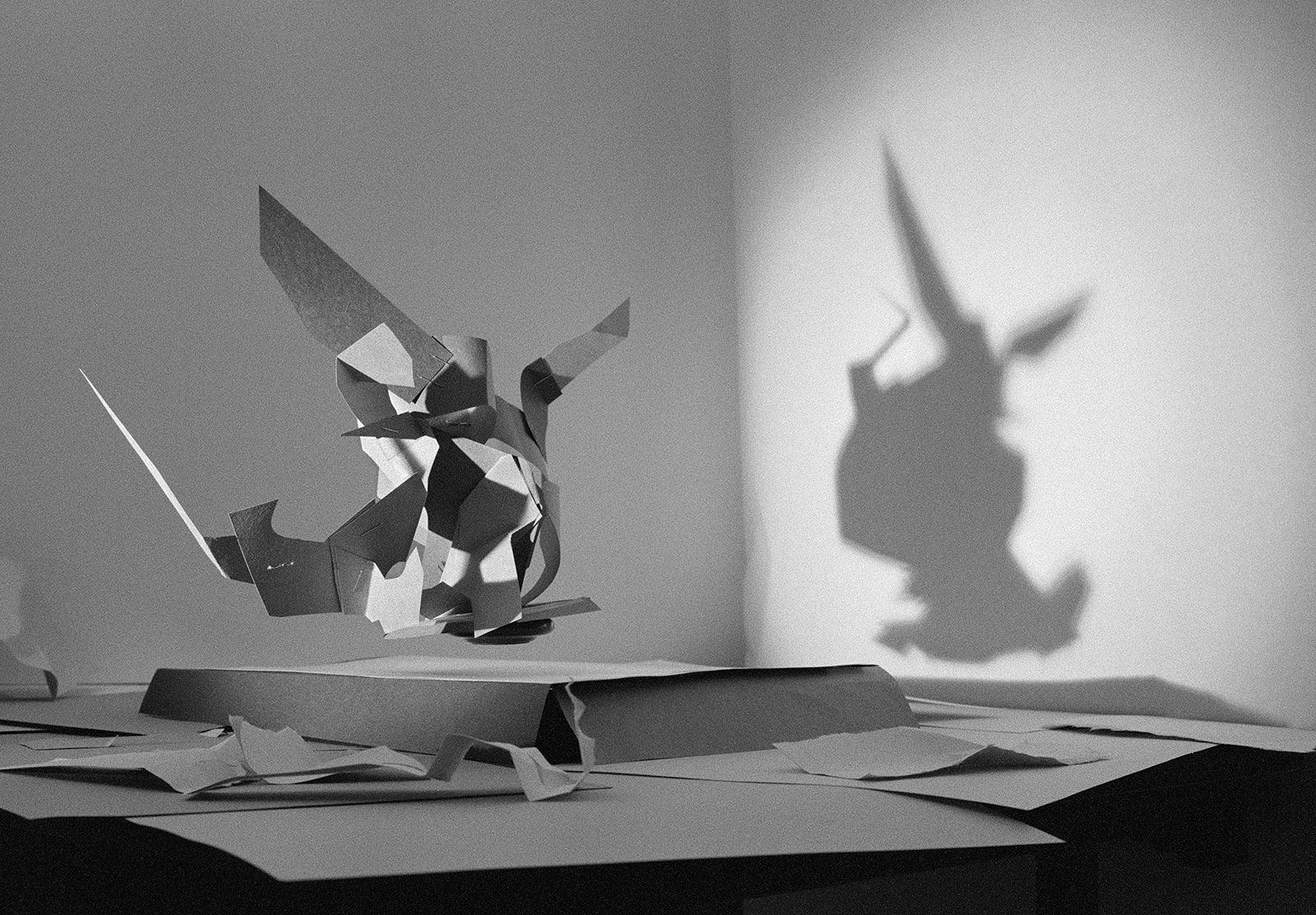 Levitating Paper Study, Wilton, Connecticut, 2012 Archival Pigment Print on Hahnemuhle Photo Rag, 17x21" Edition of Three