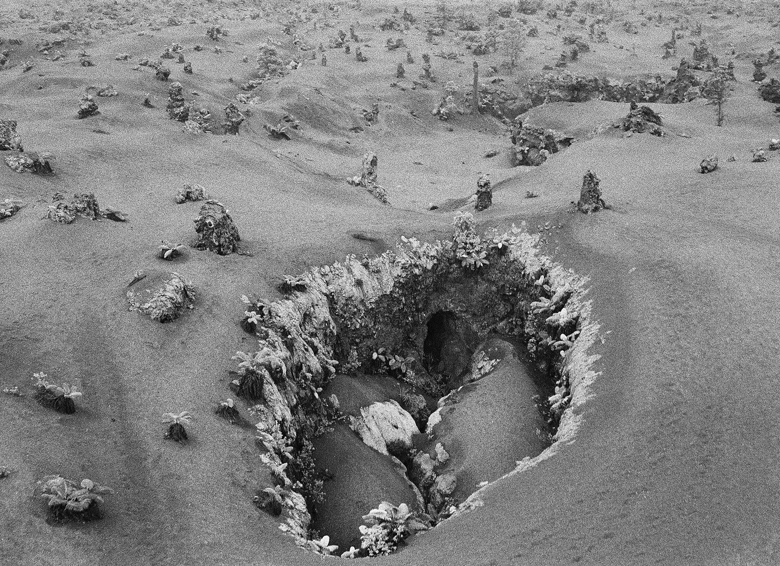Aerial View of Lava Trees, East Rift Zone, Hawai'i, 2003 Archival Pigment Print on Hahnemuhle Photo Rag, 17x21" Edition of Three