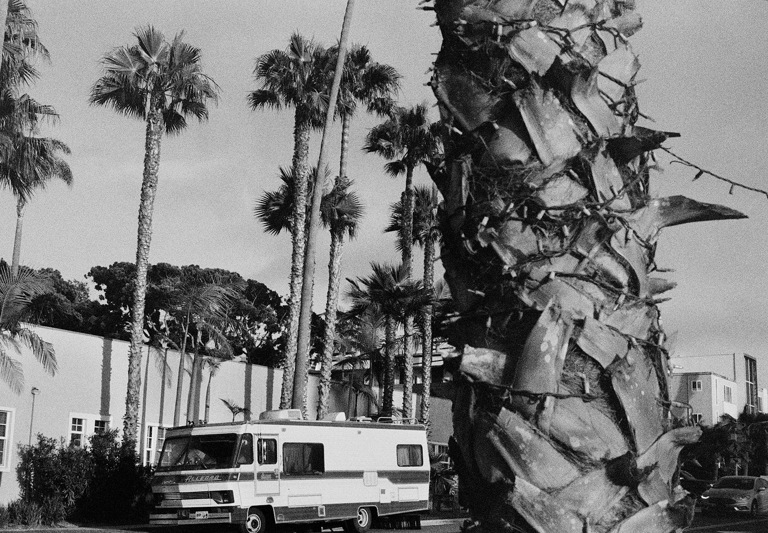 Untitled, La Jolla, California, 2024 Archival Pigment Print on Hahnemuhle Photo Rag , 17x21" Edition of Three