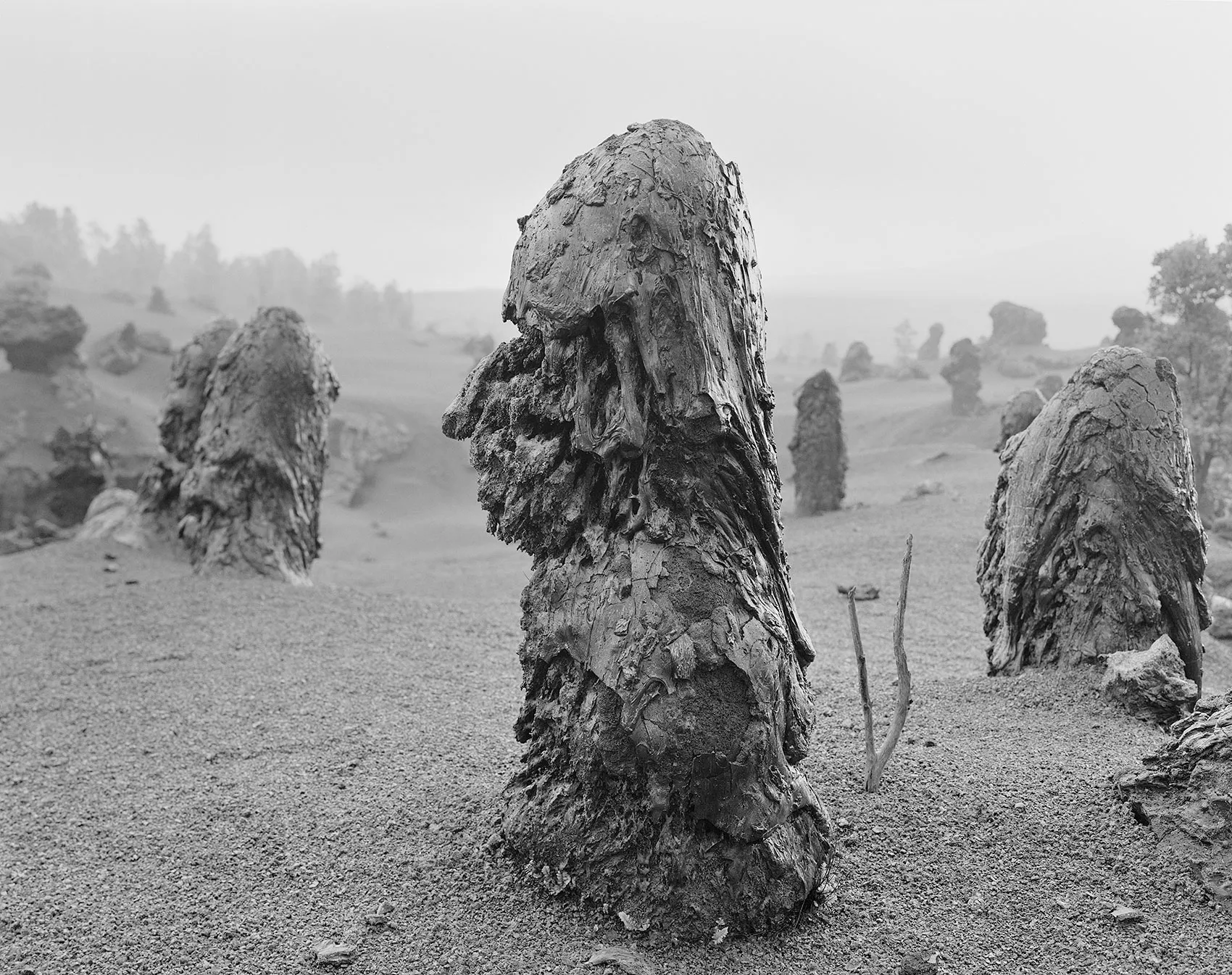 Lava Tree, East Rift Zone, Hawai'i, 2007 Selenium Toned Silver Gelatin Print, 16x20" Edition of Three