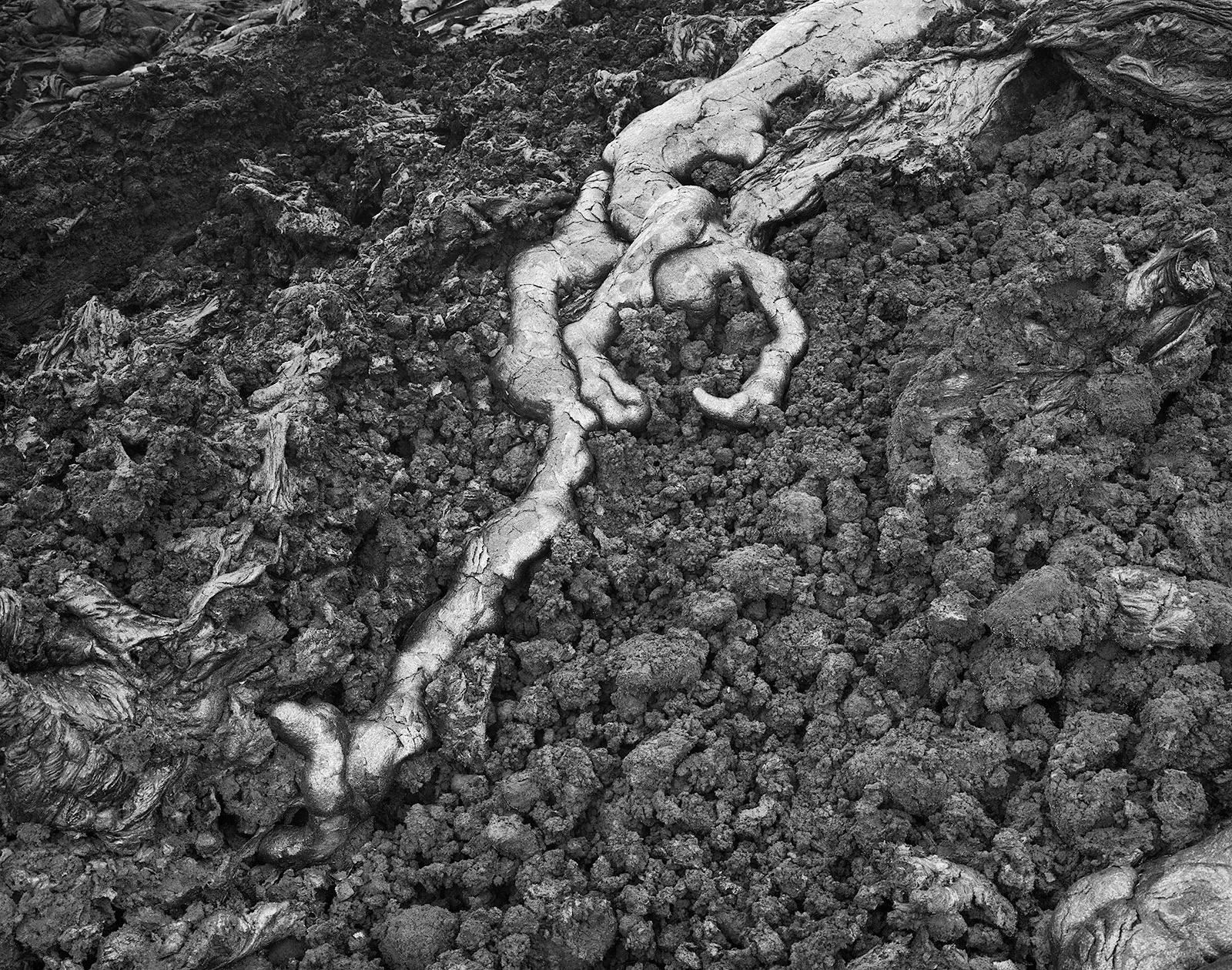 Pahoehoe Flow at the Base of Hilina Pali, East Rift Zone, Hawai'i, 2011 Selenium Toned Silver Gelatin Print, 16x20" Edition of Three