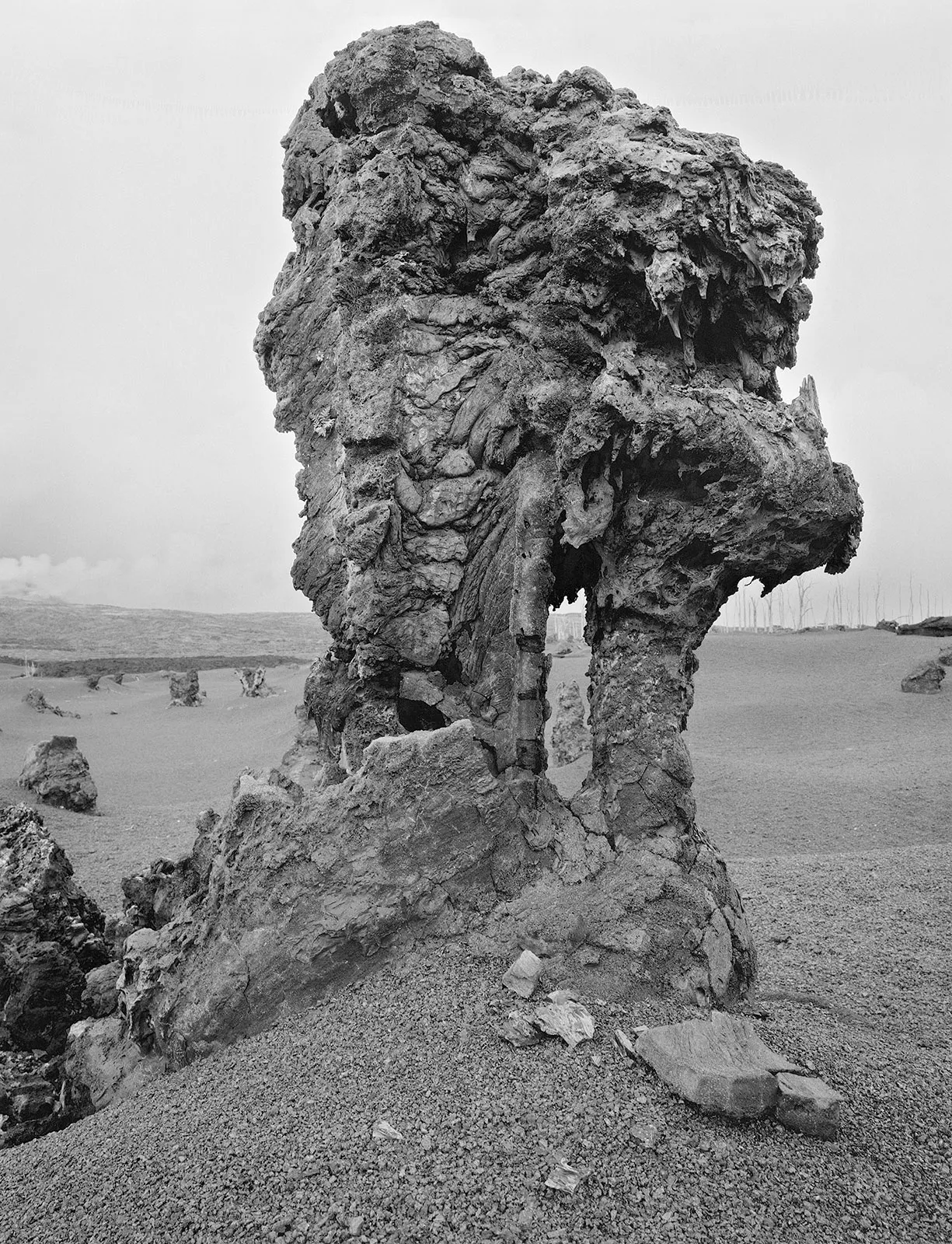 Lava Tree, East Rift Zone, Hawai'i, 1993 Selenium Toned Silver Gelatin Print, 20x16" Edition of Three