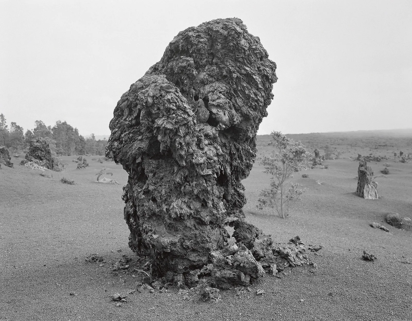 Lava Tree, East Rift Zone, Hawai'i, 2003 Selenium Toned Silver Gelatin Print, 16x20" Edition of Three