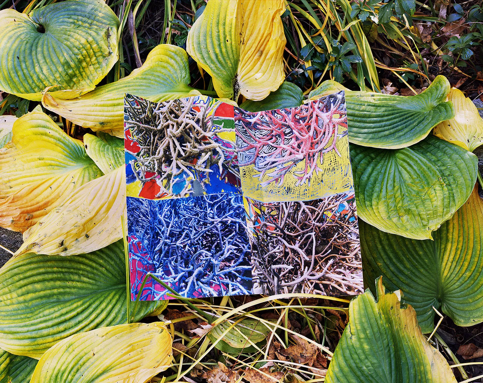 Reef Grid Print with Marker, Australia / Hosta, Connecticut, 2024 Archival Pigment Print on Moab Entrada Rag, Image Size, 8x10", Paper Size, 17x21", Edition of Three