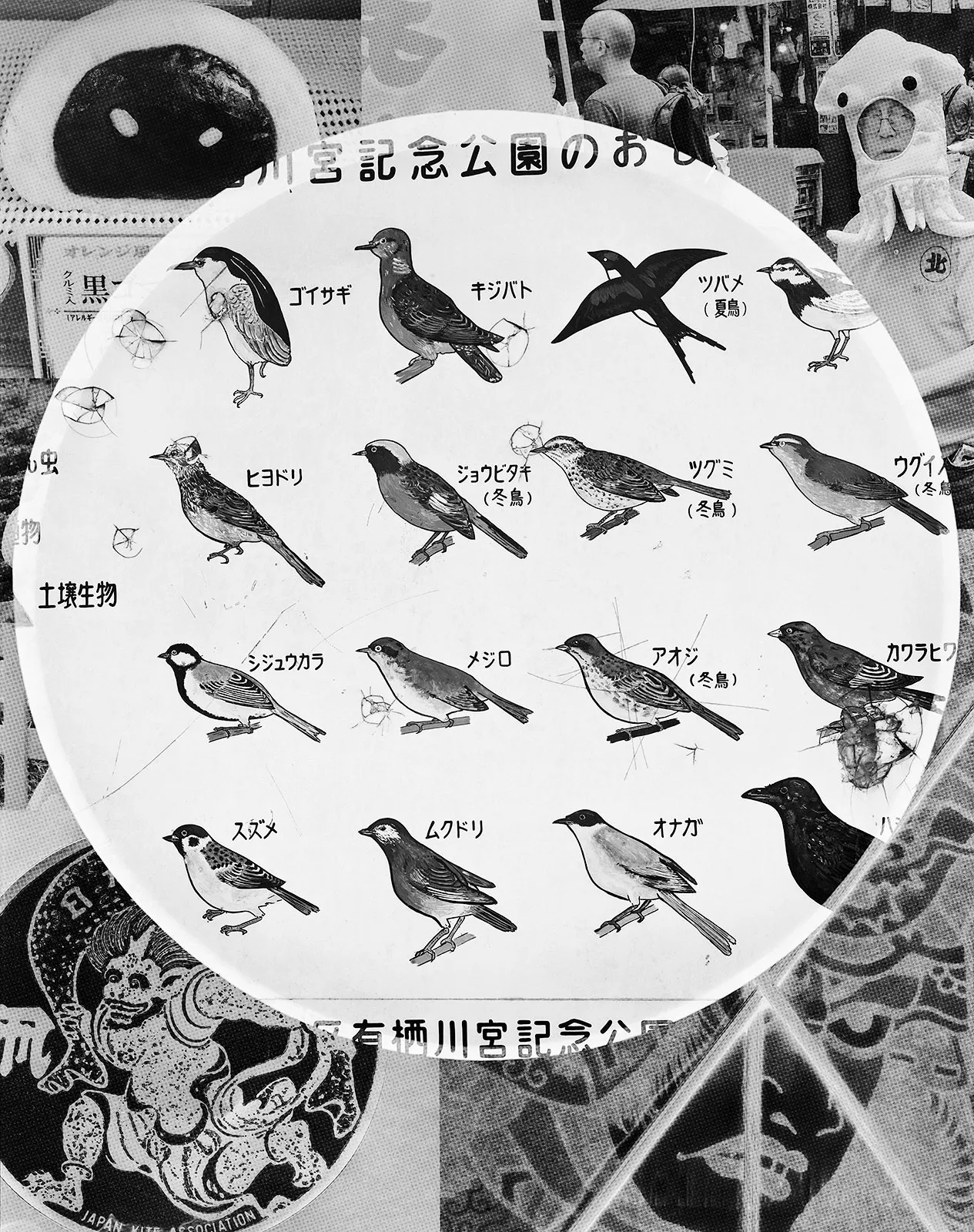 Bird Sign in Arisugawa-no-miya Park + Collage, Azabu-Juban, Tokyo, Japan, 2016 Selenium Toned Silver Gelatin Print, 20x16" + 24x20" Edition of Three