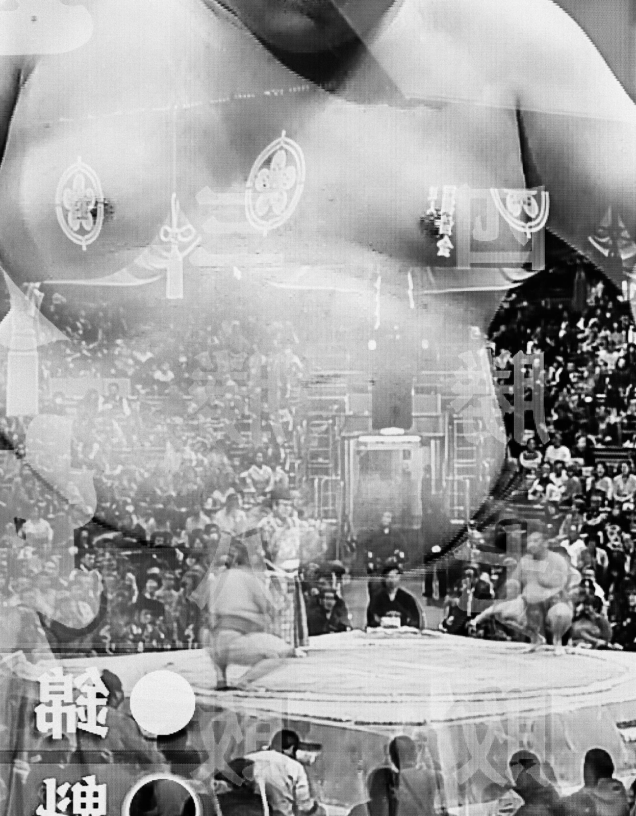 Sumo Match on TV, Tokyo, Japan, 2018 Selenium Toned Silver Gelatin Print, 24x20" Edition of Three