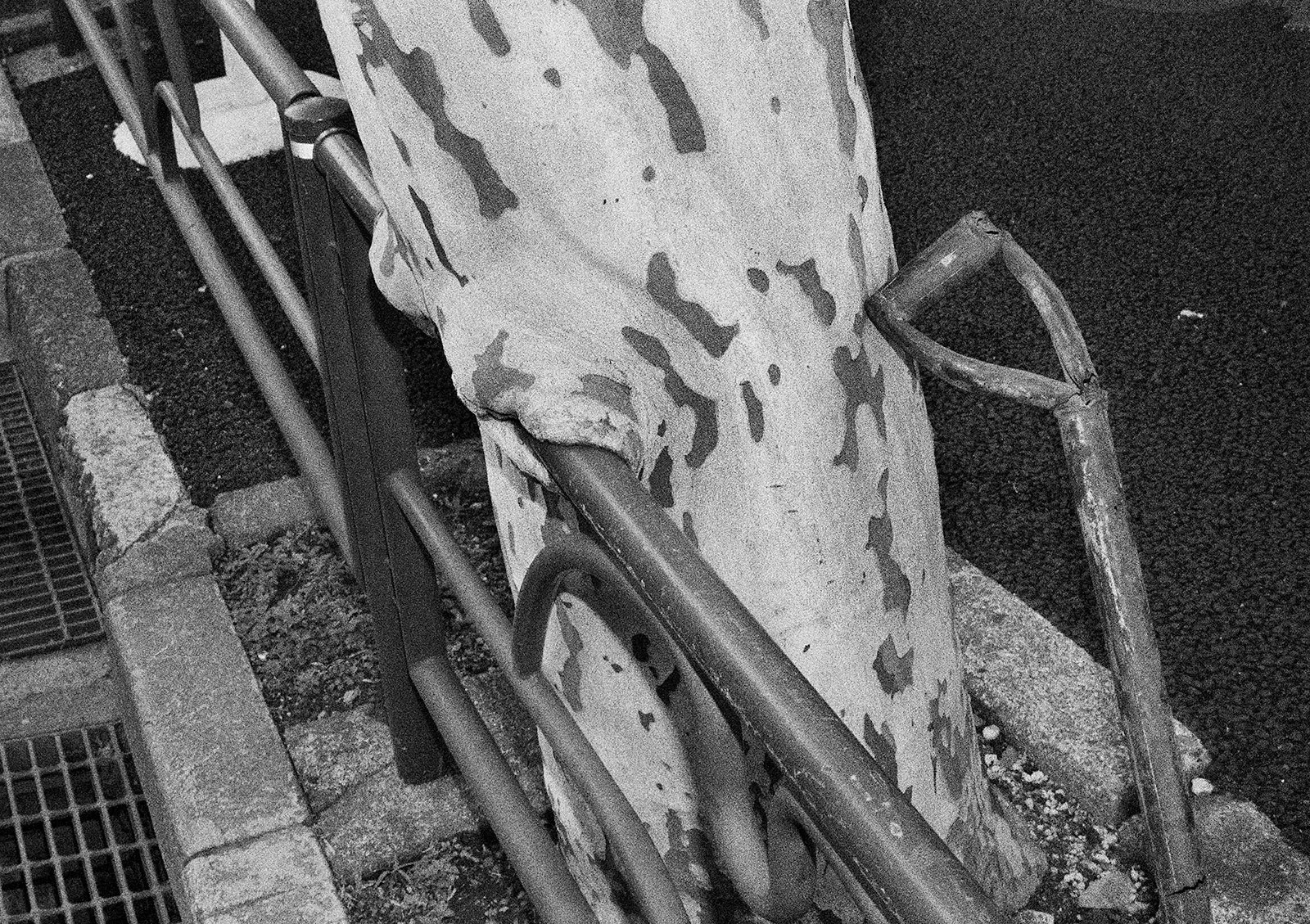 Untitled, Roppongi, Tokyo, Japan, 2018 Selenium Toned Silver Gelatin Print, 16x20" Edition of Three