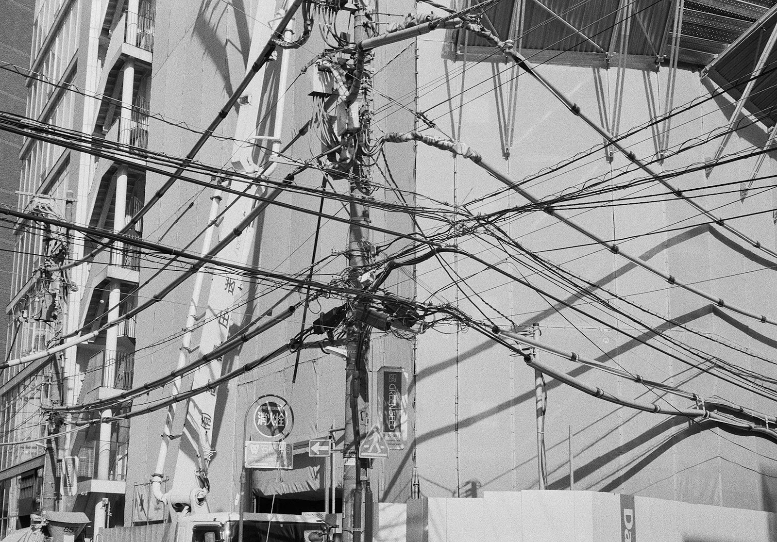 Untitled, Shibuya, Tokyo, Japan, 2018 Selenium Toned Silver Gelatin Print, 16x20" Edition of Three