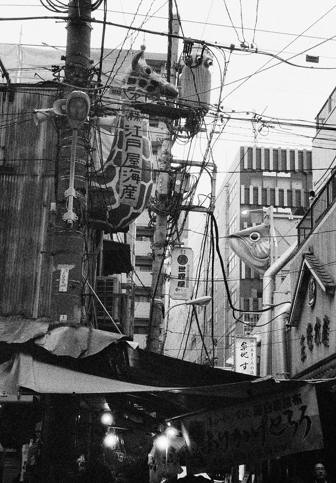 Untitled, Tsukiji, Tokyo, Japan, 2018 Selenium Toned Silver Gelatin Print, 20x16" Edition of Three