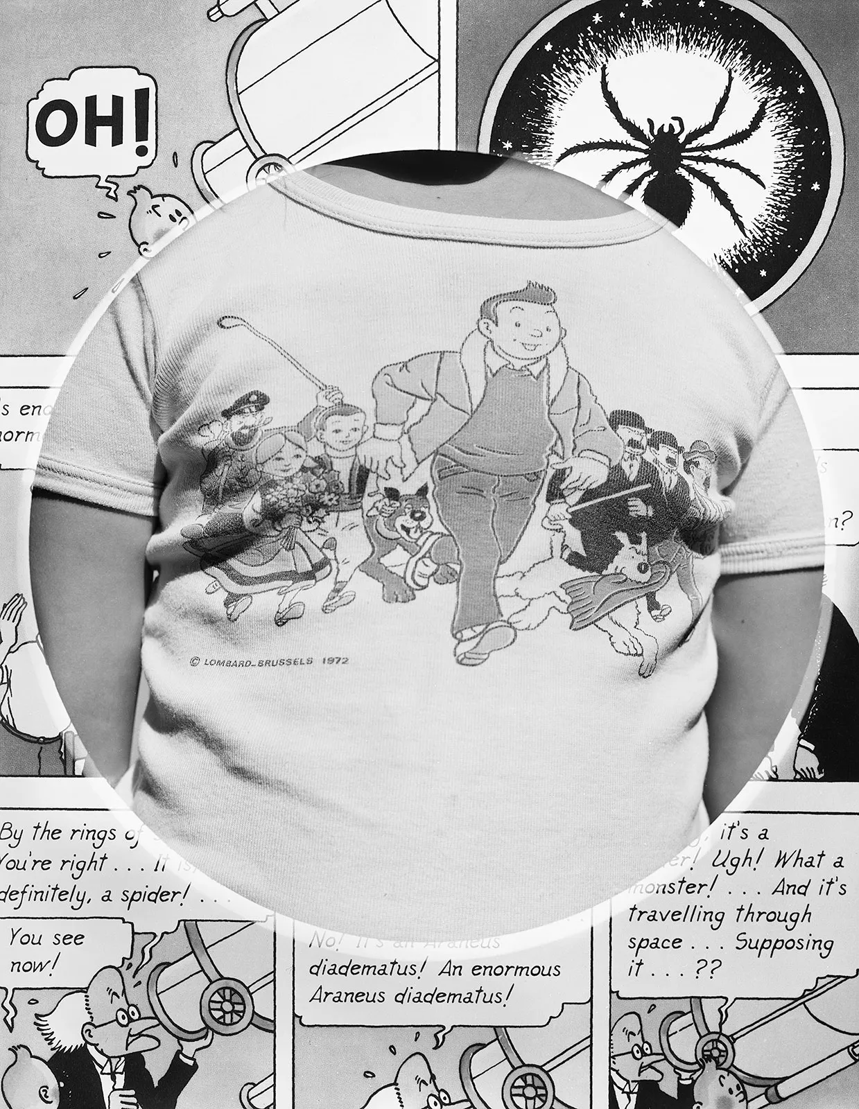 Mei in My 1972 Tintin Shirt + The Shooting Star, Wilton, Connecticut, 2015 Selenium Toned Silver Gelatin Print 20x16" Edition of Three