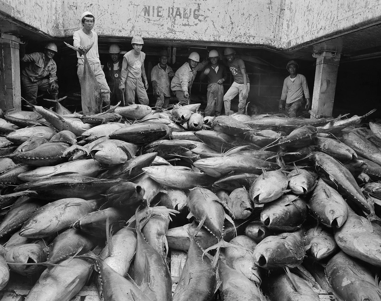 Unloading Tuna, Polish Reefer Ship, Tinian, Northern Mariana Islands, 1991 Selenium Toned Silver Gelatin Print 16x20" Edition of Three