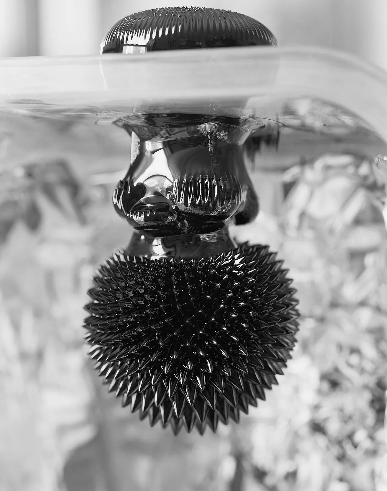 Three Neodynium Magnets Covered in Ferrofluid, Somerville, Massachusetts, 2007 Selenium Toned Silver Gelatin Print 16x20" Edition of Three