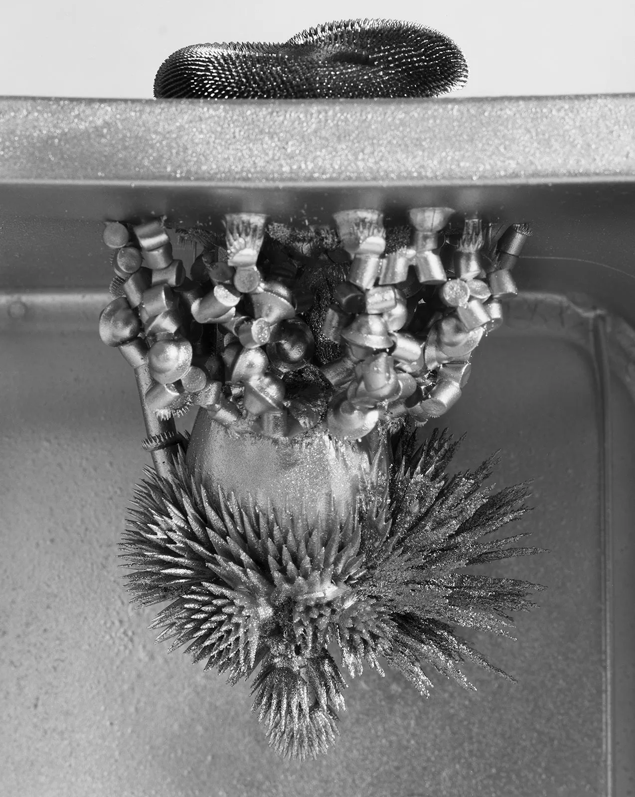 Three Neodynium Magnets Covered in Ferrofluid and Metal, and Sprayed Silver , Somerville, Massachusetts, 2007 Selenium Toned Silver Gelatin Print 16x20" Edition of Three