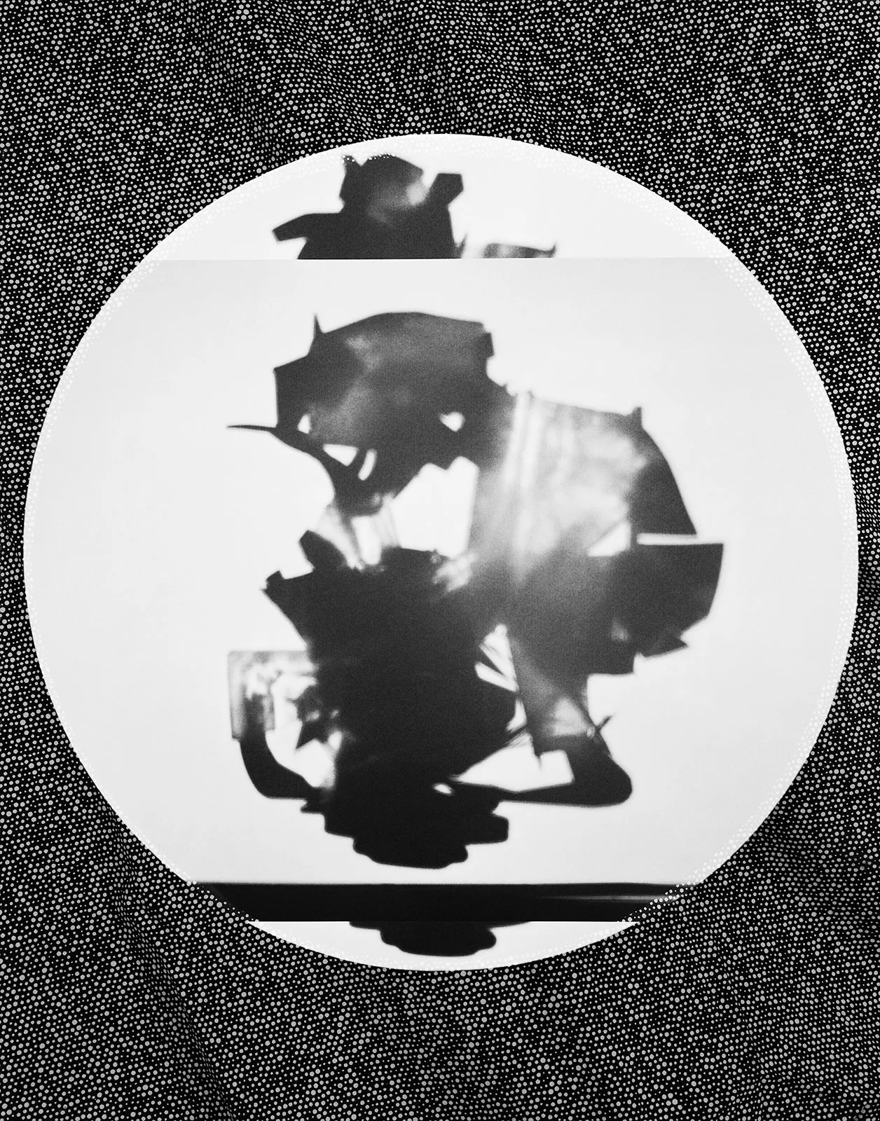 Shadow + Fabric, Wilton, Connecticut 2015 Selenium Toned Silver Gelatin Print 20x16" Edition of Three