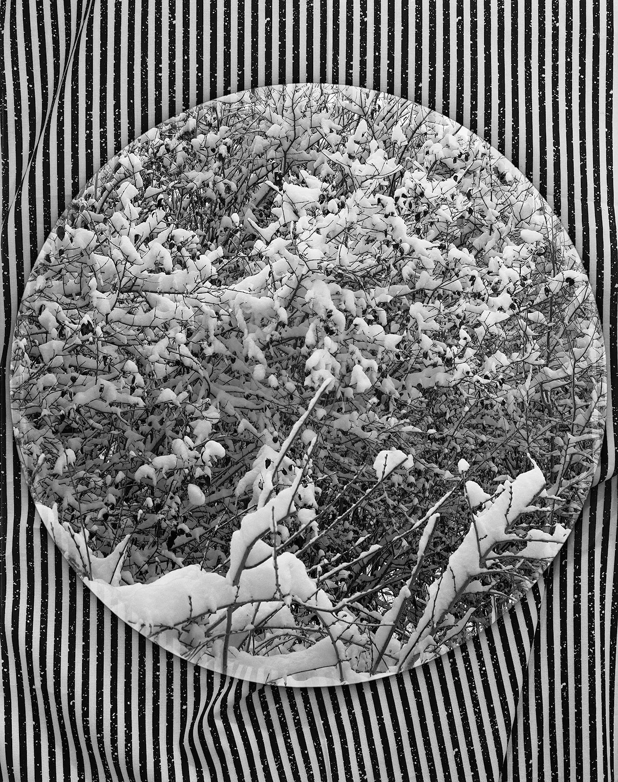 Snow + Fabric, Wilton, Connecticut 2015 Selenium Toned Silver Gelatin Print 20x16" Edition of Three