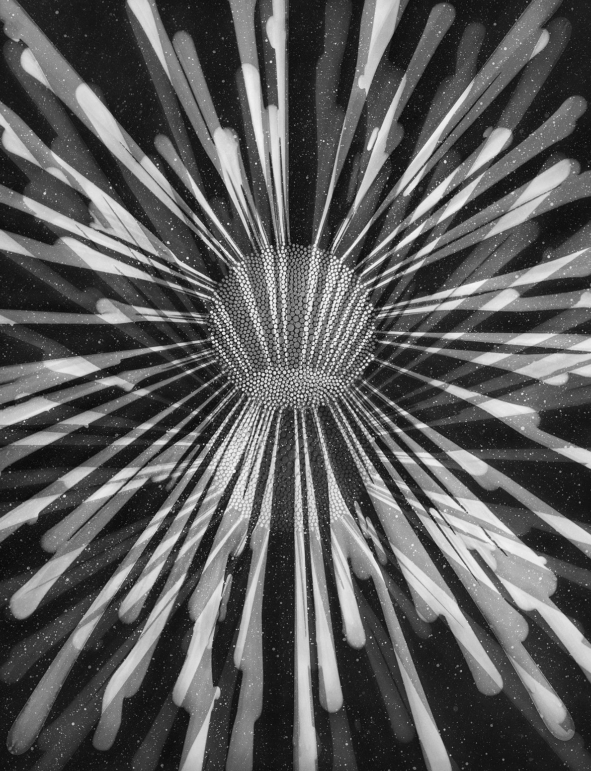 Taiyō, Ferrofluid Photogram on 8x10" Sheet of Film, 2013