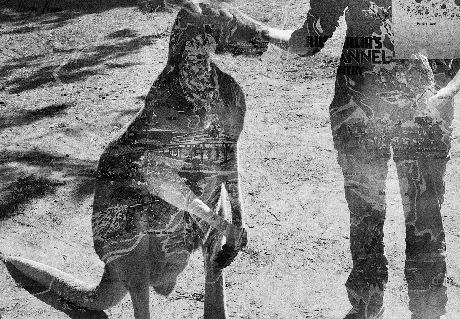 Red Kangaroo/Tea Towel Double Exposure, Queensland, Australia, 2022 Archival Pigment Print on Hahnemuhle Photo Rag , 17x21" Edition of Three