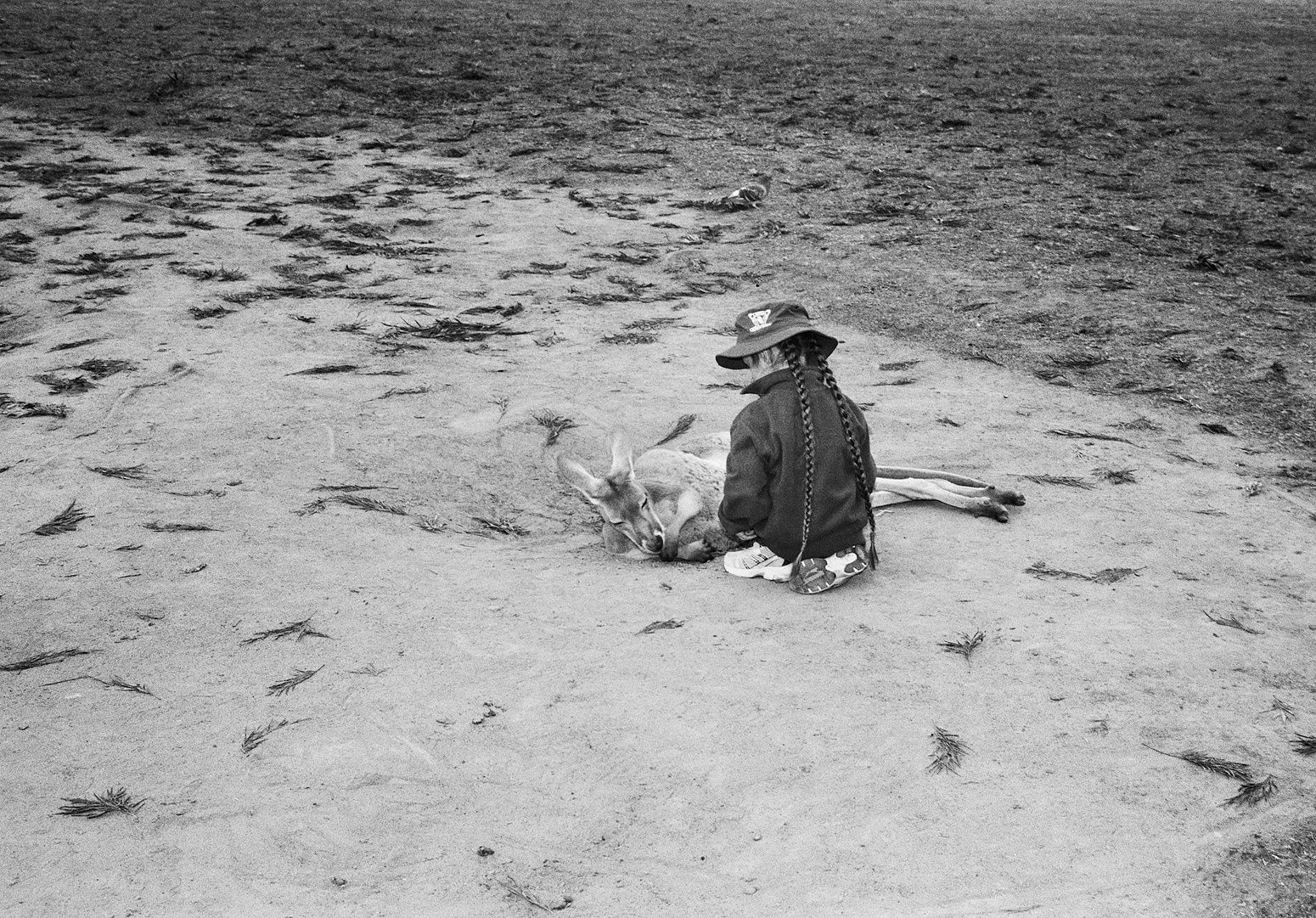 Kangaroo and Child, Lone Pine Koala Sanctuary, Queensland, Australia, 2022 Archival Pigment Print on Hahnemuhle Photo Rag , 17x21" Edition of Three