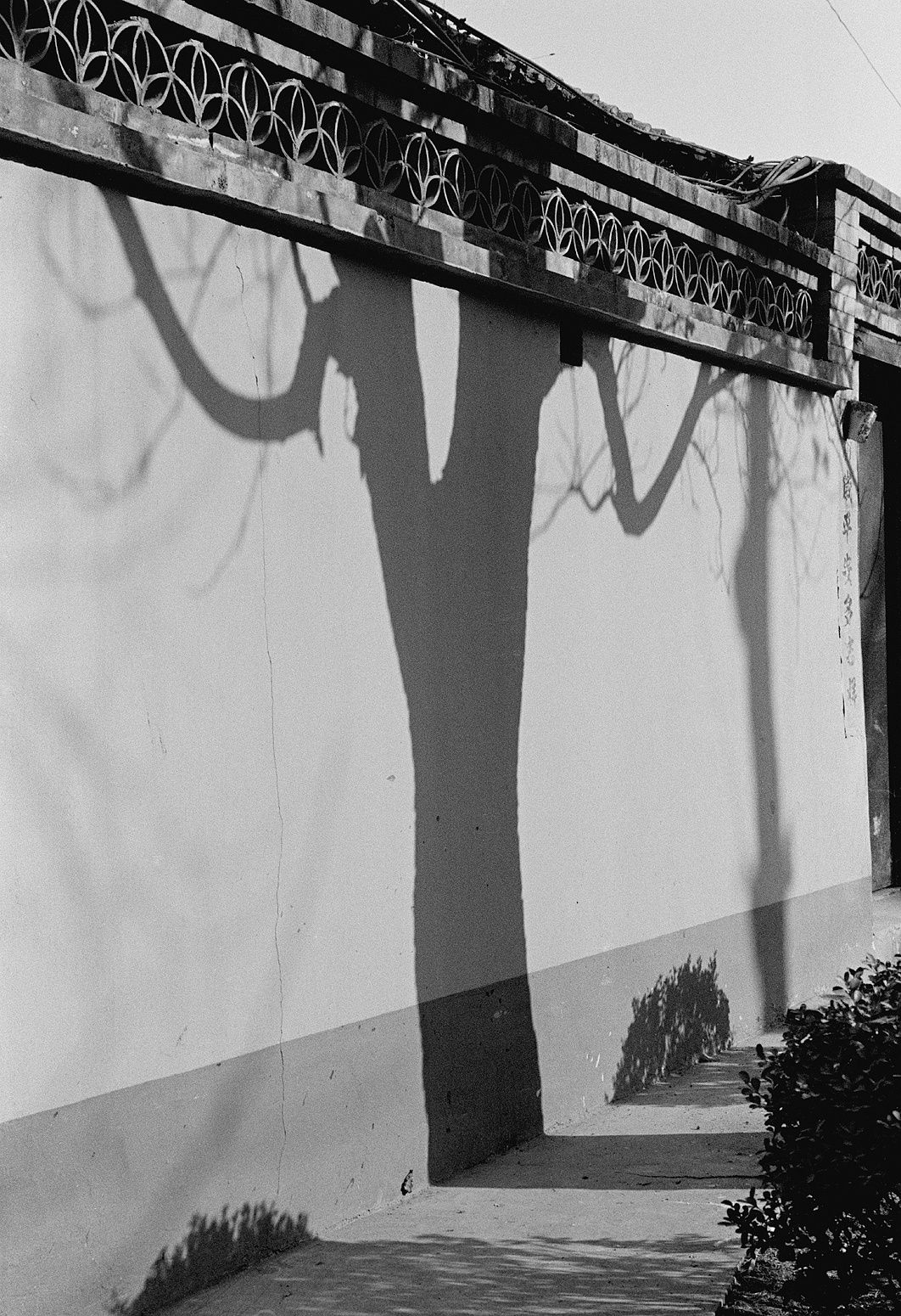 Untitled, Beijing, China, 2009 Archival Pigment Print on Hahnemuhle Photo Rag , 21x17" Edition of Three