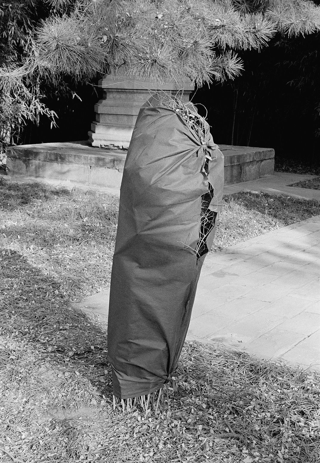 Untitled, Beijing, China 2009 Archival Pigment Print on Hahnemuhle Photo Rag, 21x17" Edition of Three