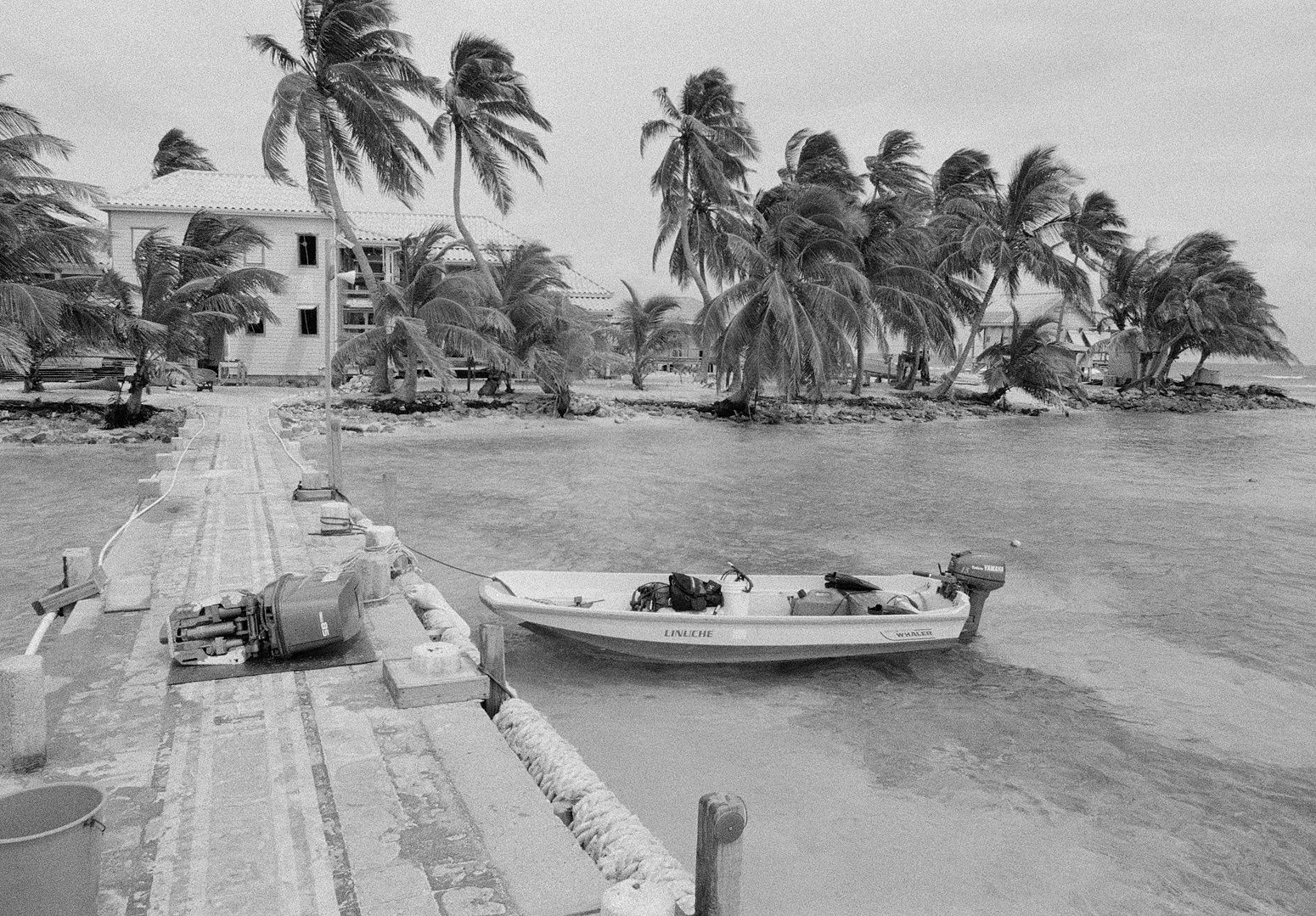 Smithsonian Station, Carrie Bow Cay, Belize, 2002 Archival Pigment Print on Hahnemuhle Photo Rag, 17x21" Edition of Three