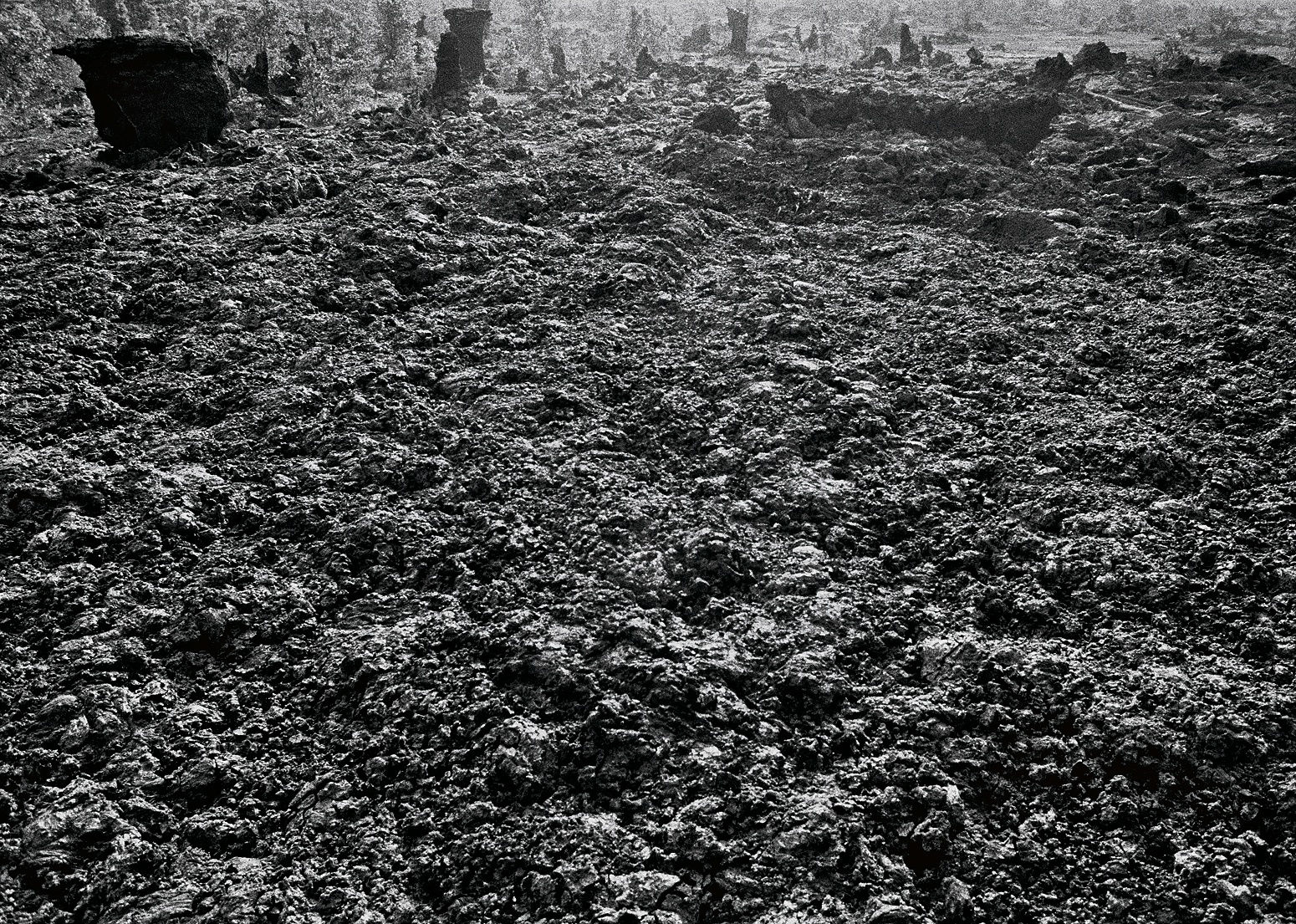1974 Lava Flow and Lava Trees, East Rift Zone, Hawai'i, 2007 Archival Pigment Print on Hahnemuhle Photo Rag, 17x21" Edition of Three