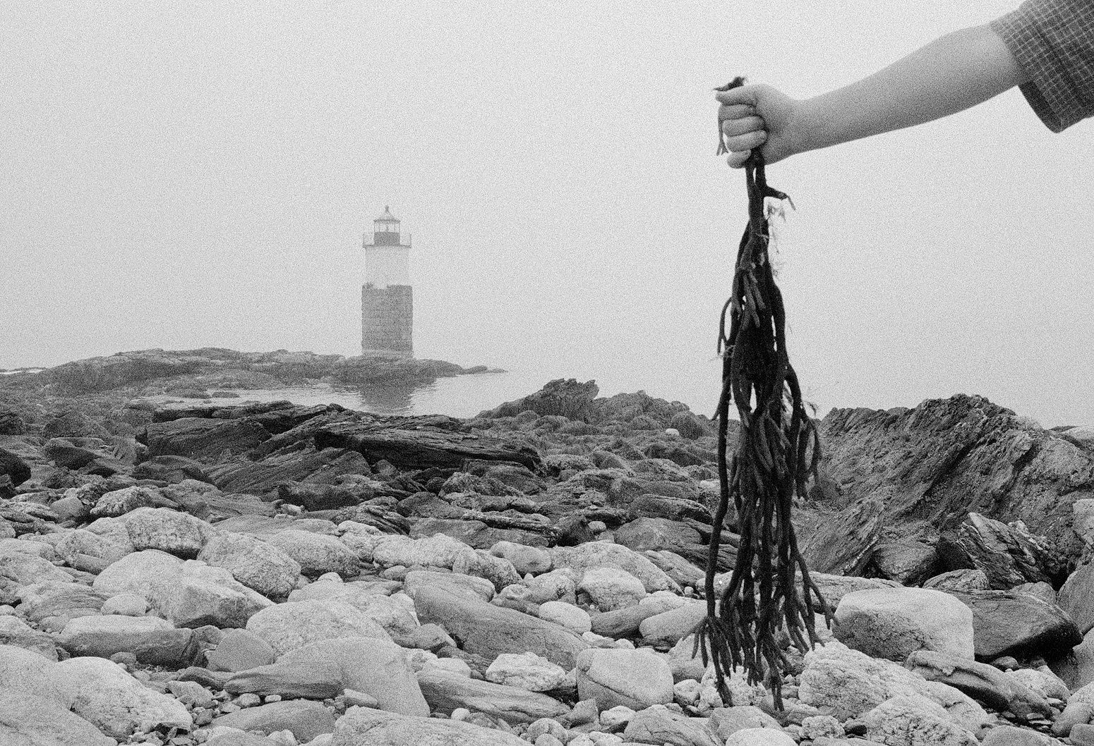 Orion Holding Kelp, Ram Island, Maine, 2000 Archival Pigment Print on Hahnemuhle Photo Rag, 17x21" Edition of Three
