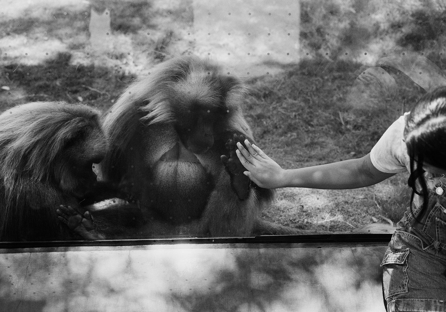 Untitled, San Diego, California, 2024 Archival Pigment Print on Hahnemuhle Photo Rag , 17x21" Edition of Three