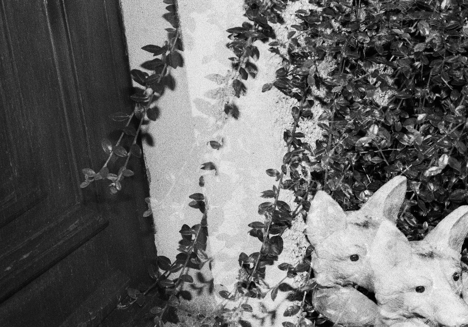 Untitled, Perth, Scotland, 2013 Archival Pigment Print on Hahnemuhle Photo Rag , 17x21" Edition of Three