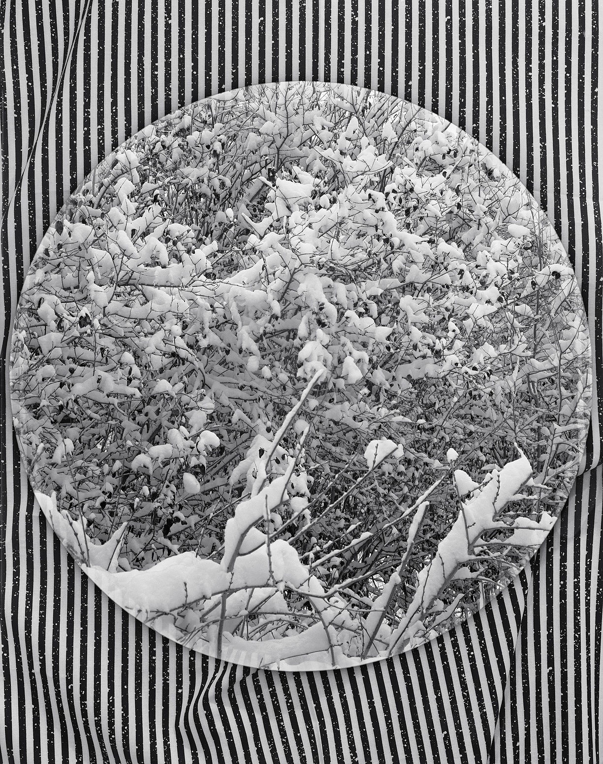 Fabric + Fresh Snow, Wilton, Connecticut, 2015 Selenium Toned Silver Gelatin Print 20x16" Edition of Three