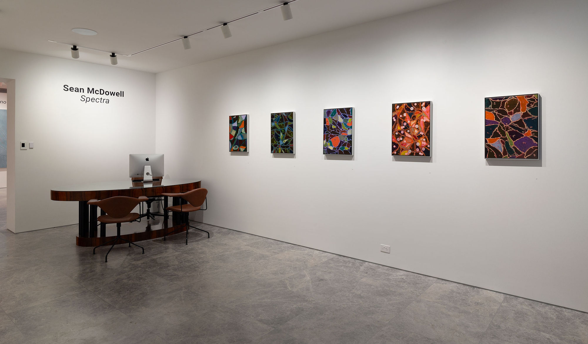 Sean McDowell, Spectra, 2024, Installation View, Lennox St. Gallery