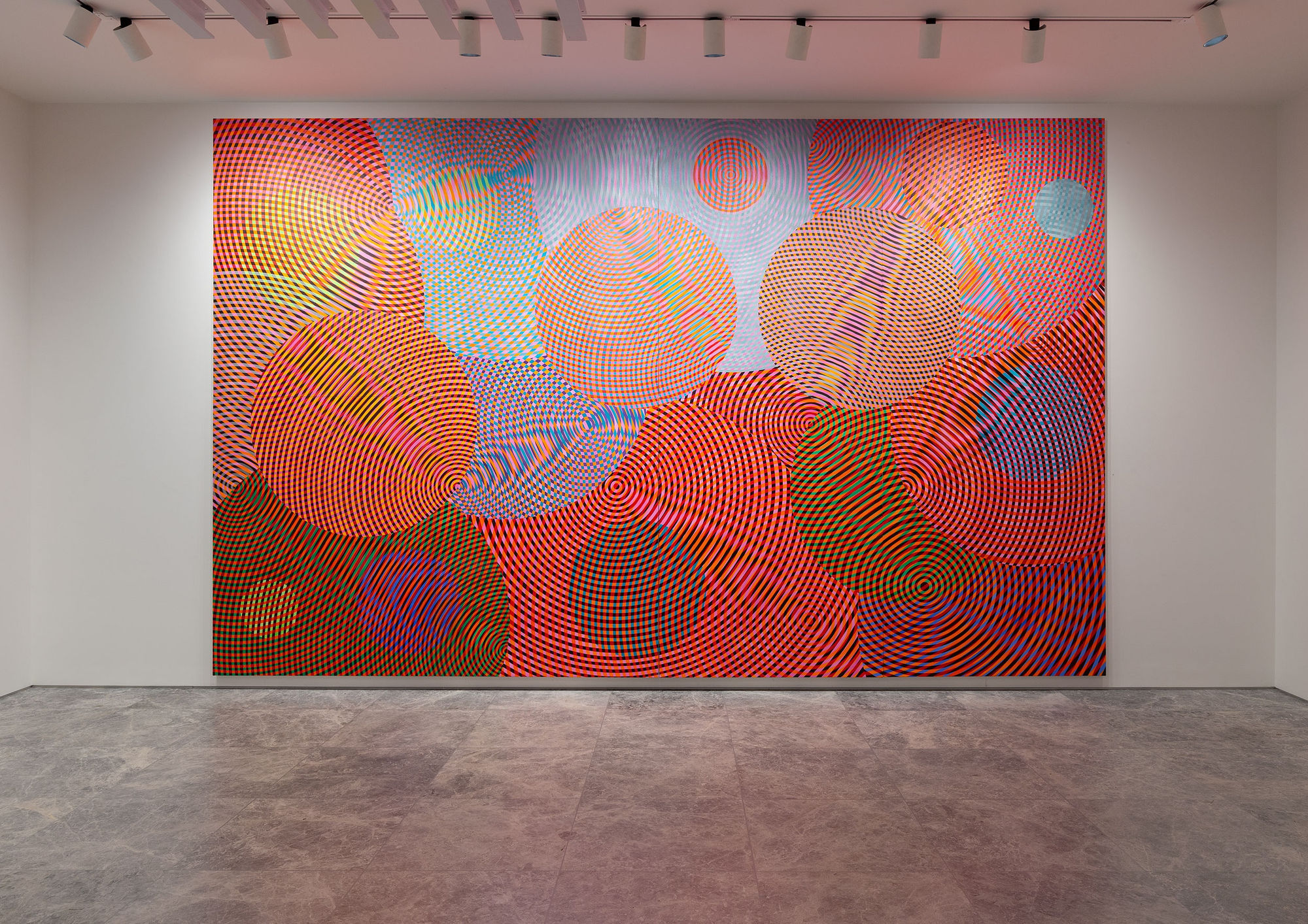 John Aslanidis, Sonic Network no 22, 2024, Installation View, Lennox St. Gallery