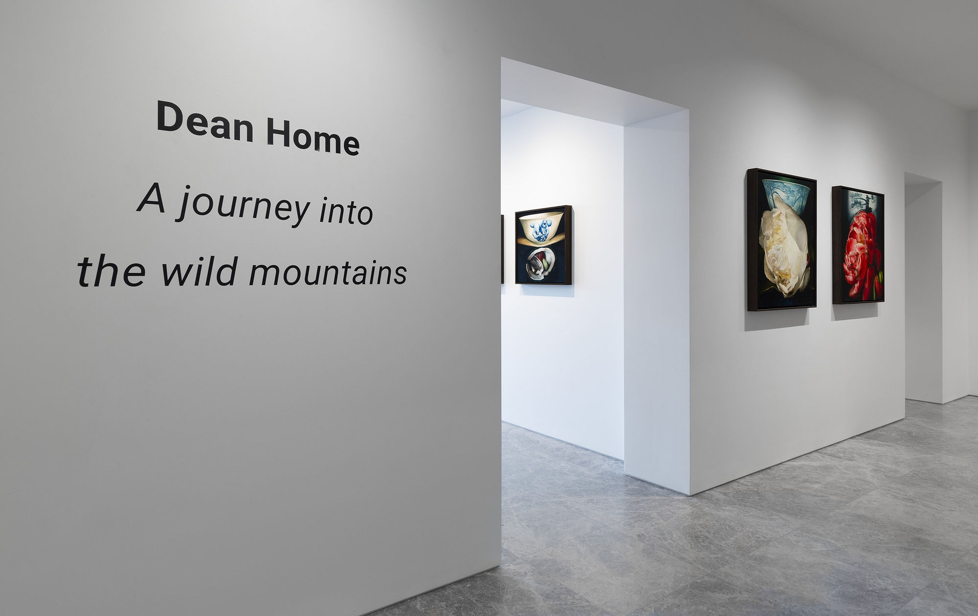 A journey into the wild mountains