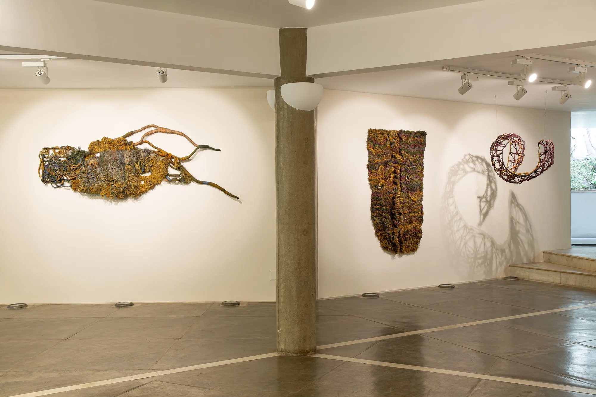 Dos mares, das águas