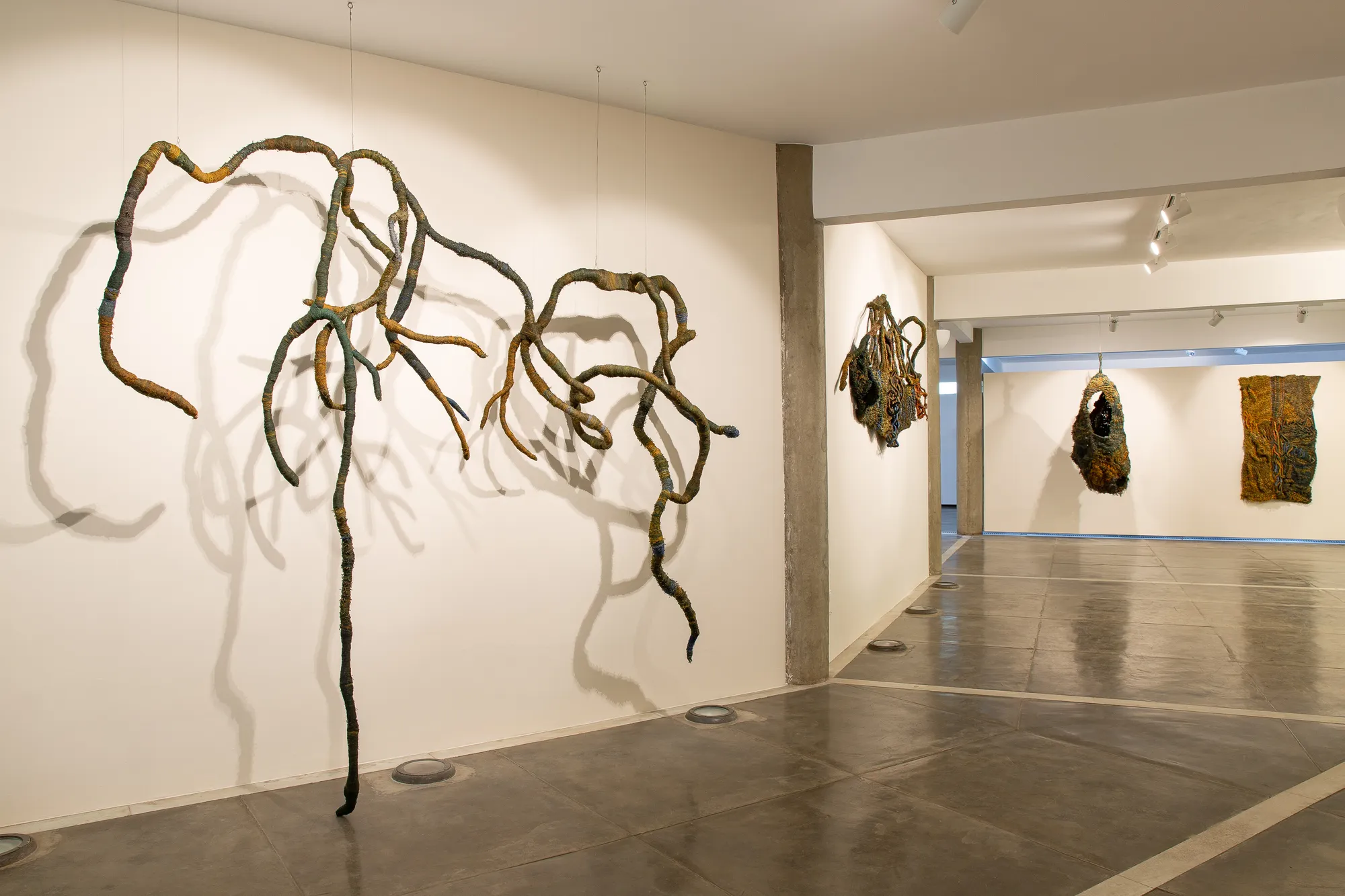 Dos mares, das águas