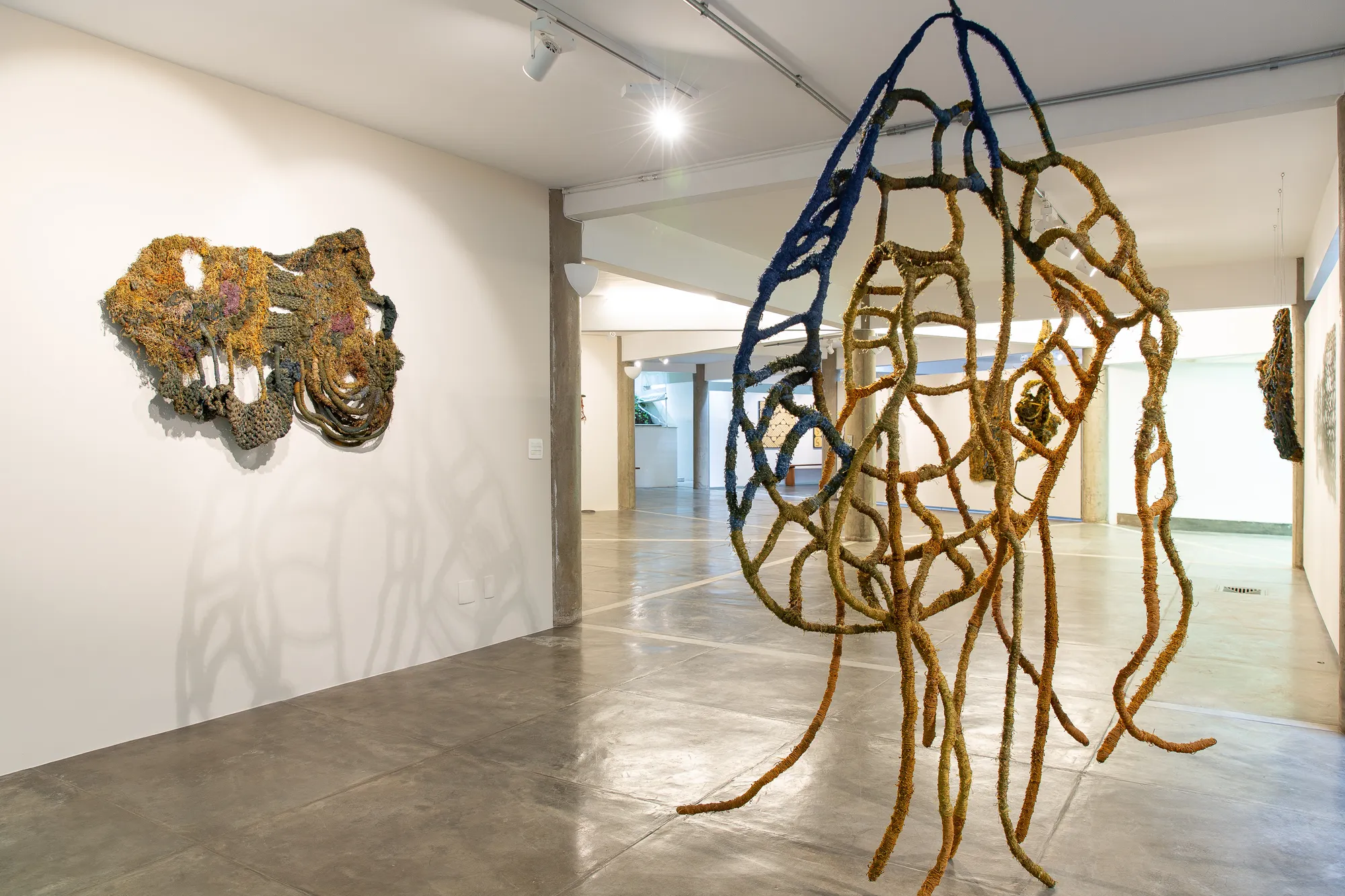 Dos mares, das águas